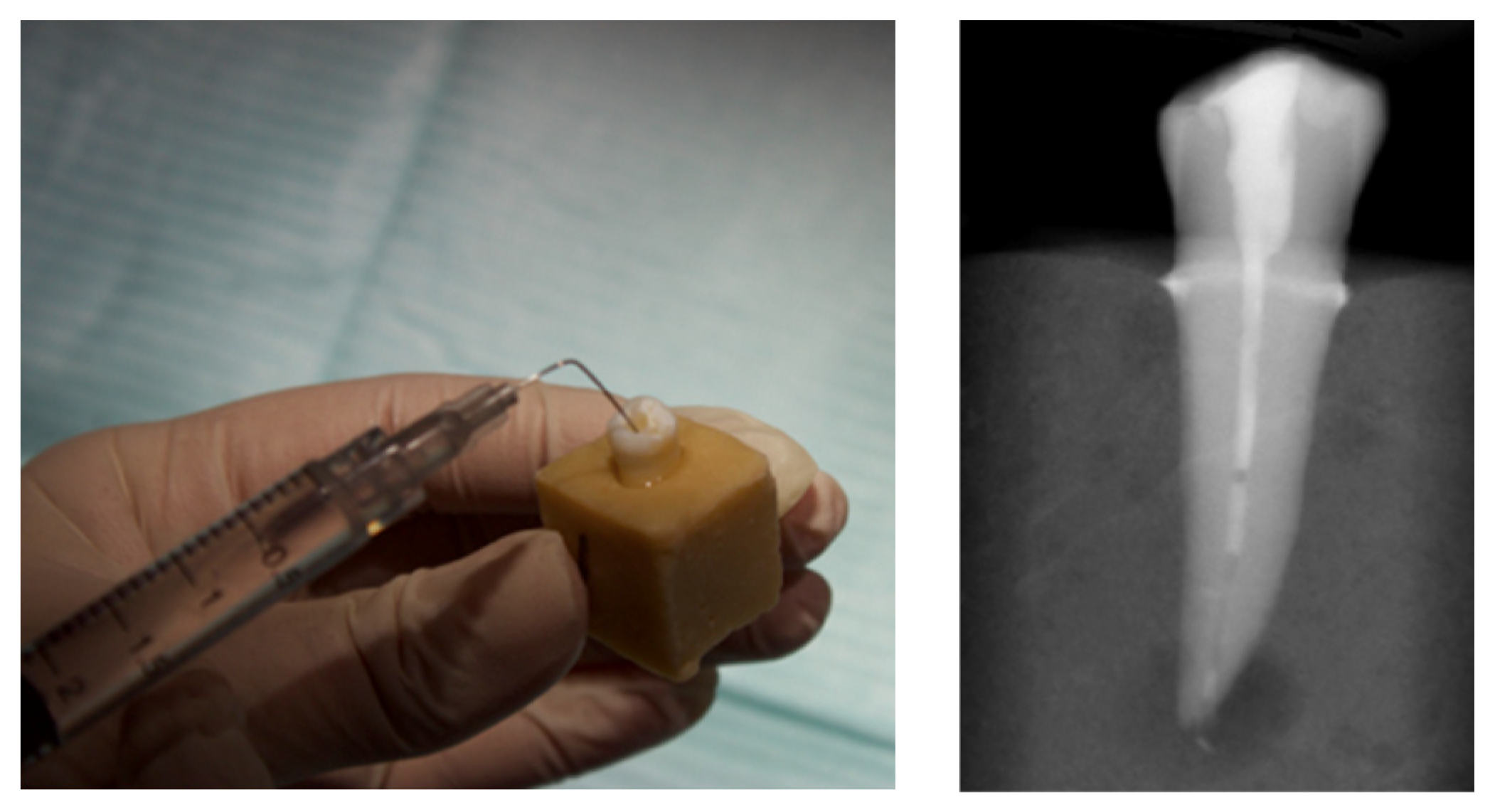 Applied Sciences Free FullText Assessment of for