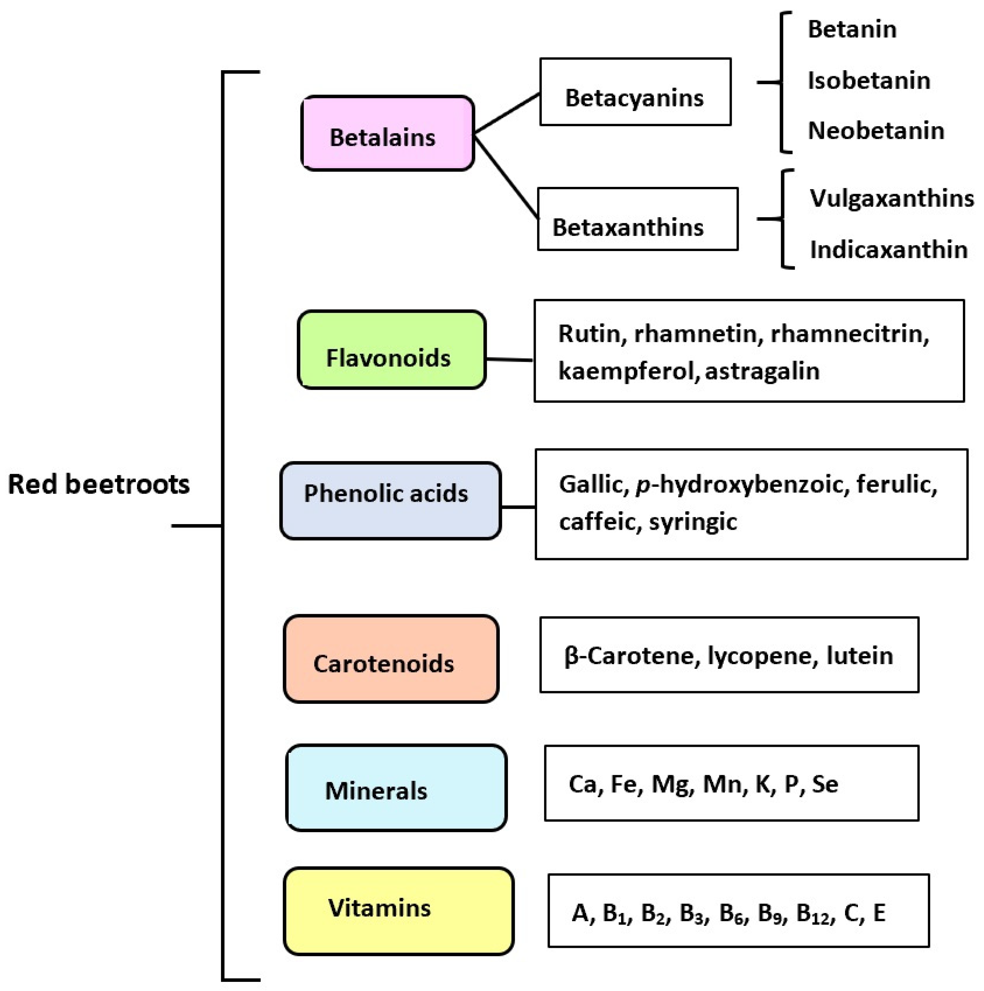 Applsci 13 07445 g001 Applsci 13 07445 g001
