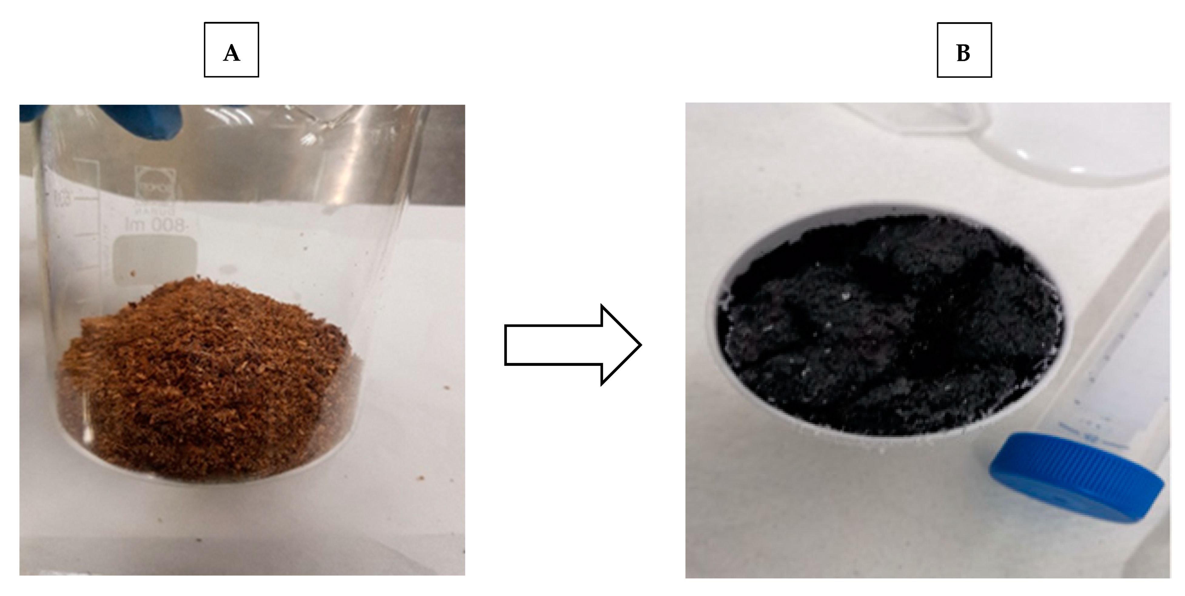 Applsci 13 07493 g001