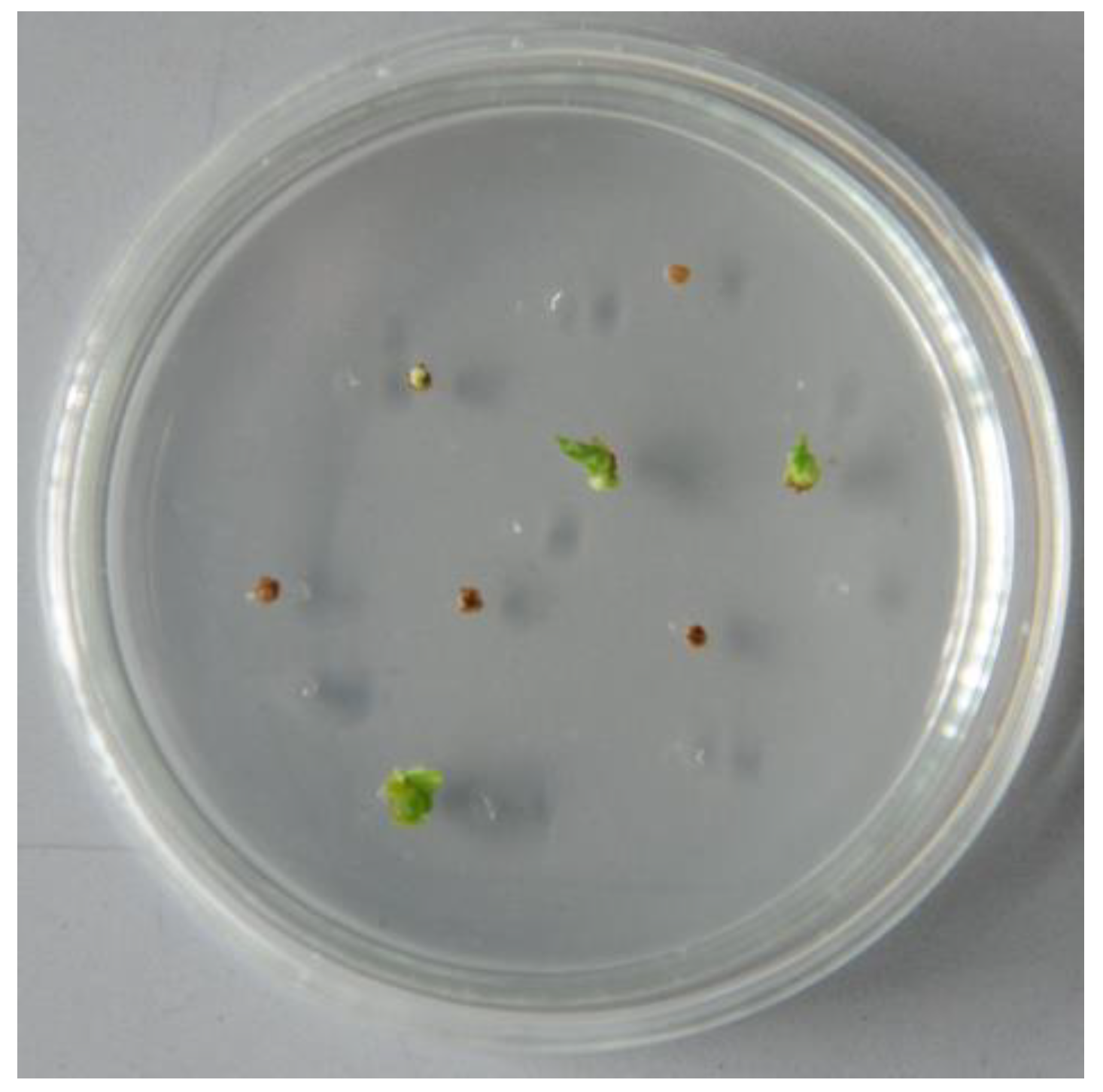 Applsci 13 07527 g002 550