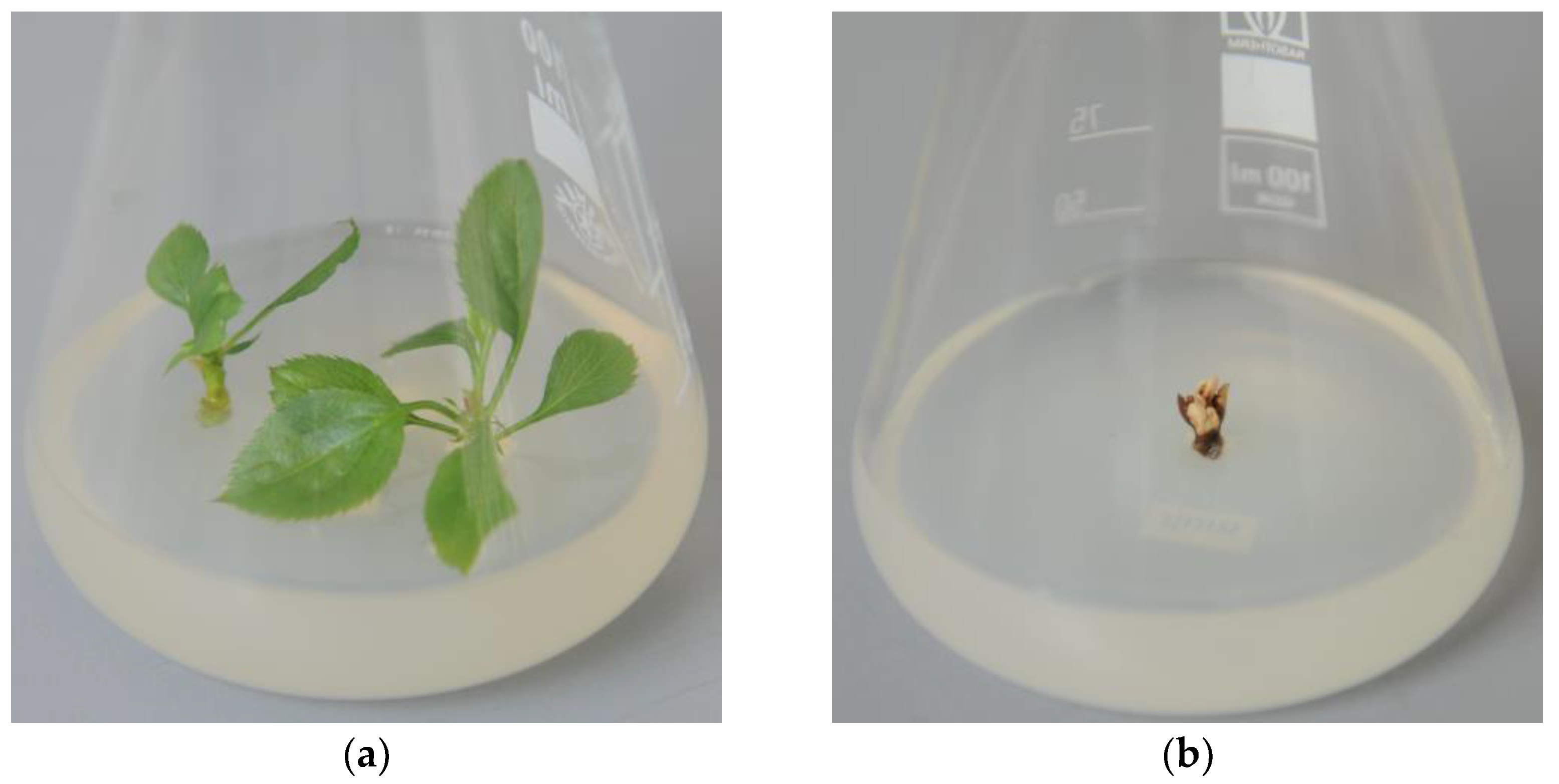Applsci 13 07527 g003 550