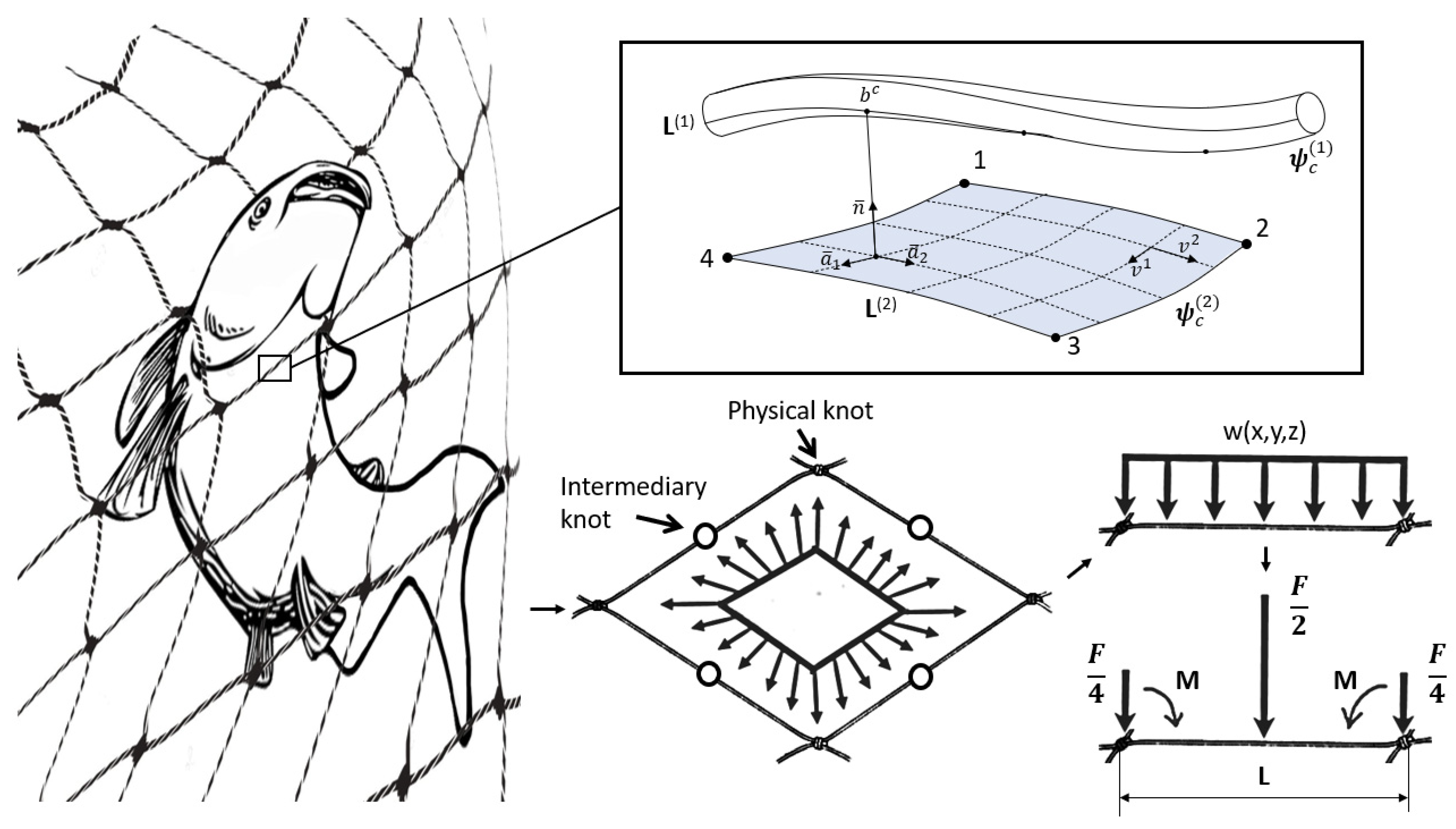 Applsci 13 07536 g001