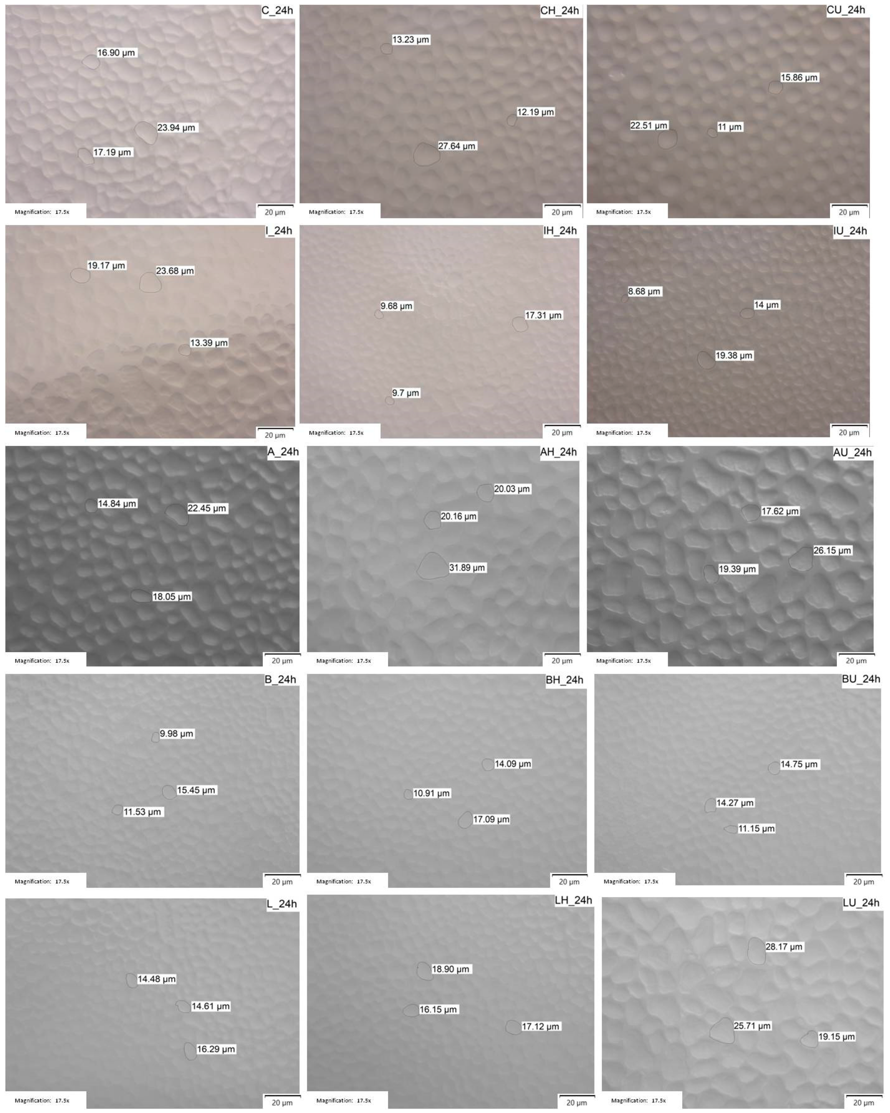Applsci 13 07561 g004
