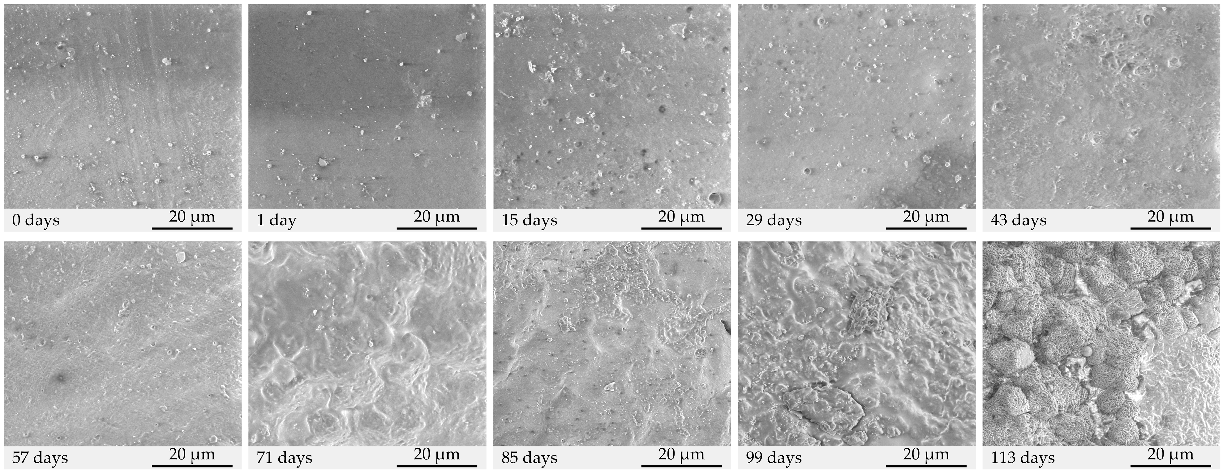 Applsci 13 07562 g005 Applsci 13 07562 g005