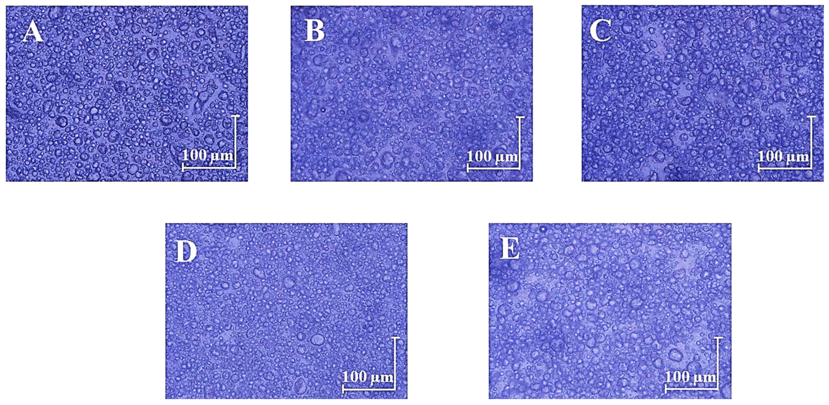 Applsci 13 07674 g004 Applsci 13 07674 g004