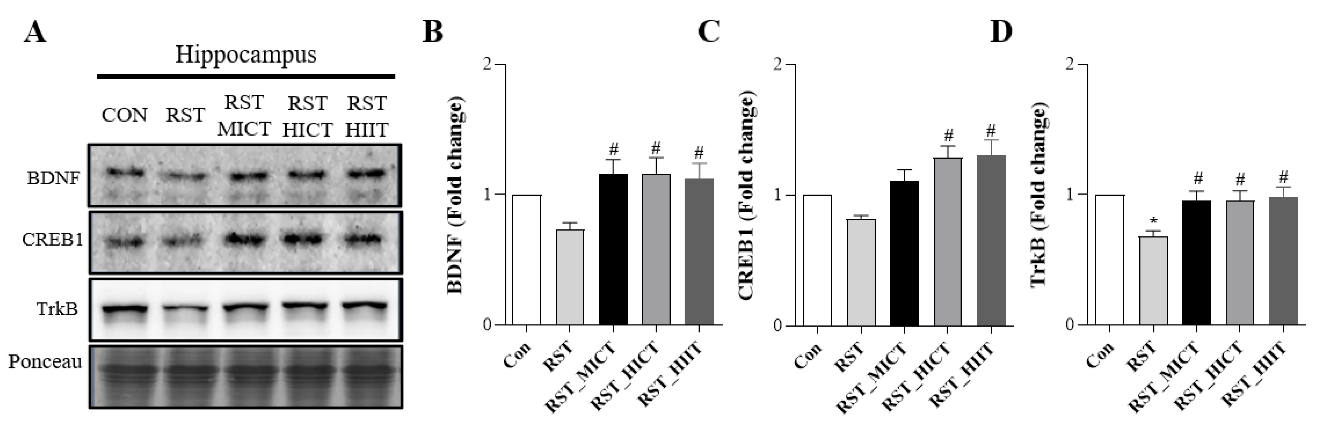 Applsci 13 07680 g003