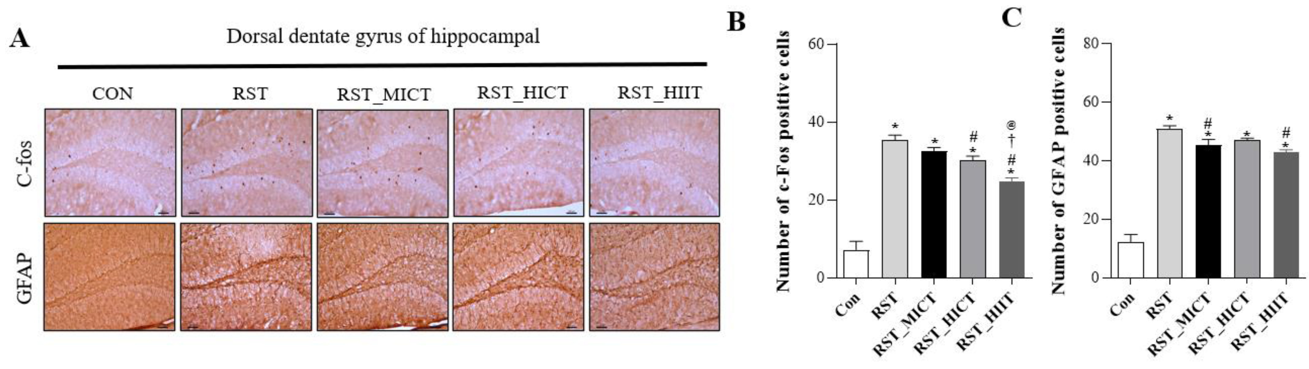 Applsci 13 07680 g004