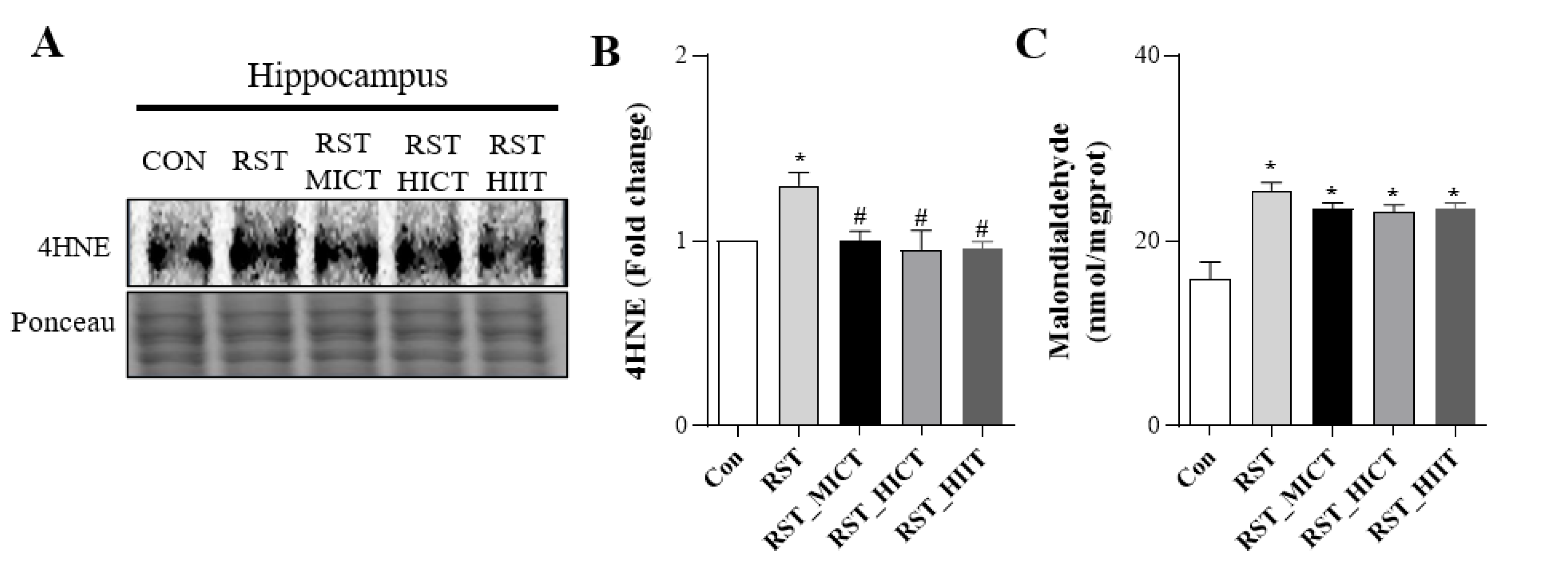 Applsci 13 07680 g005