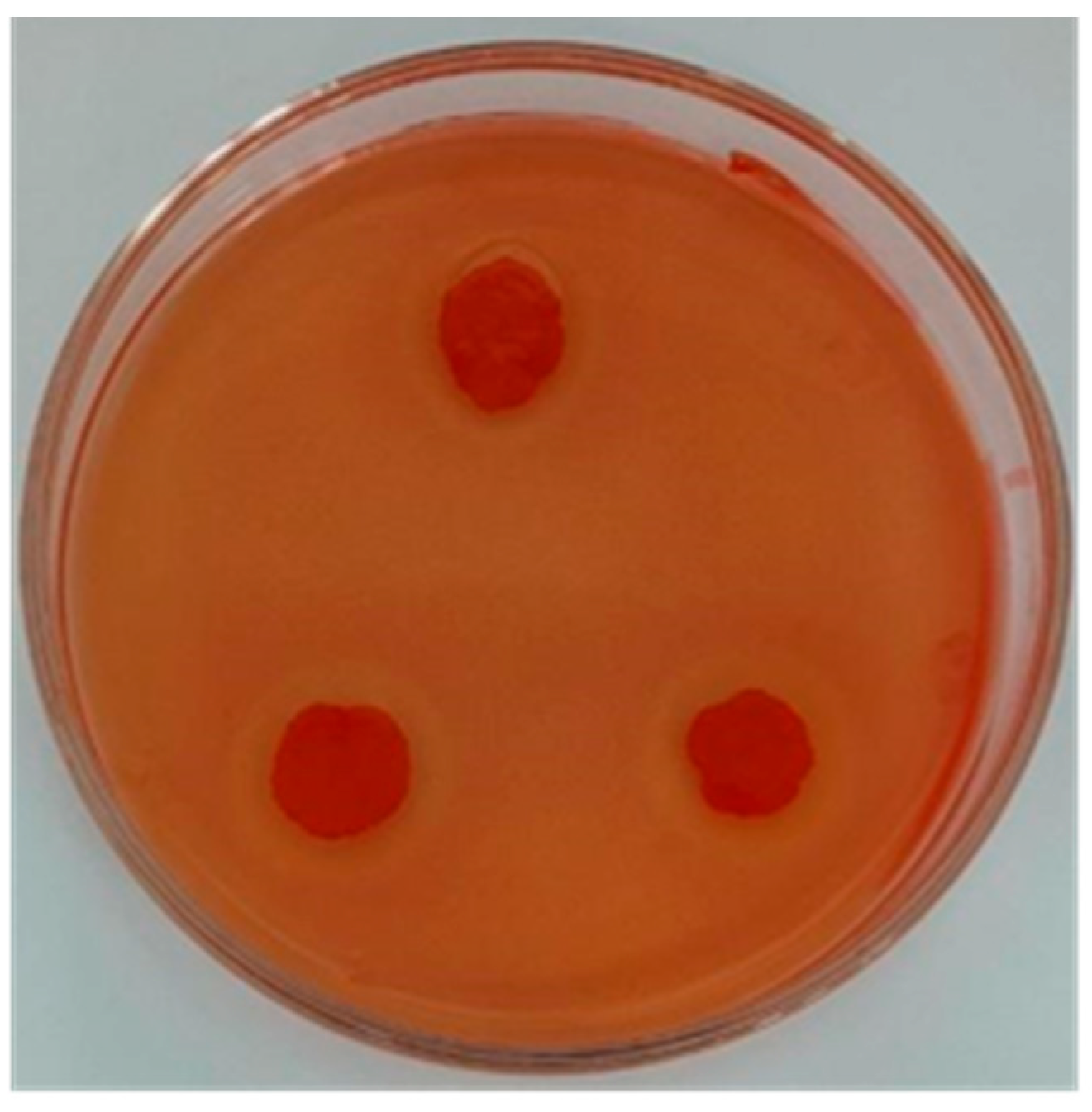 Applsci 13 07693 g001