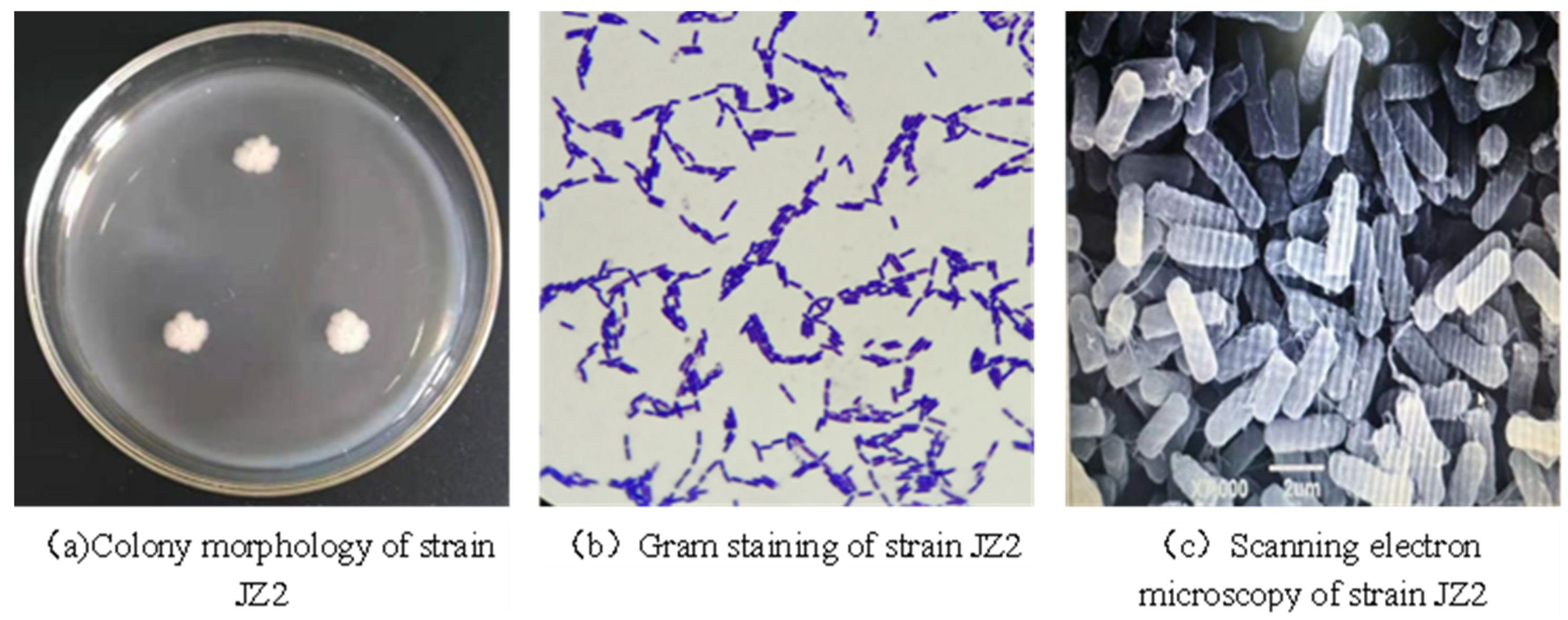 Applsci 13 07693 g002