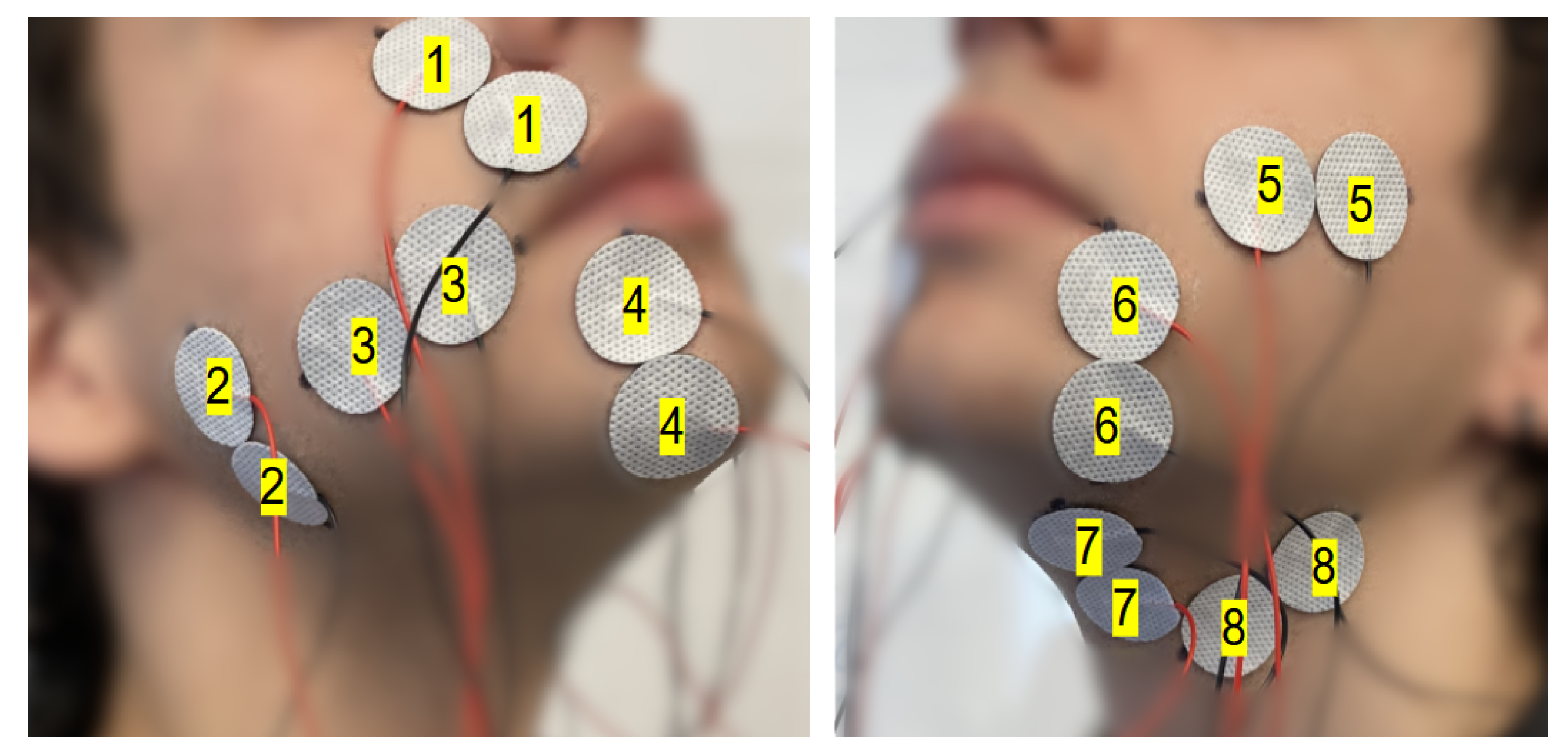 Applsci 13 07746 g003 Applsci 13 07746 g003