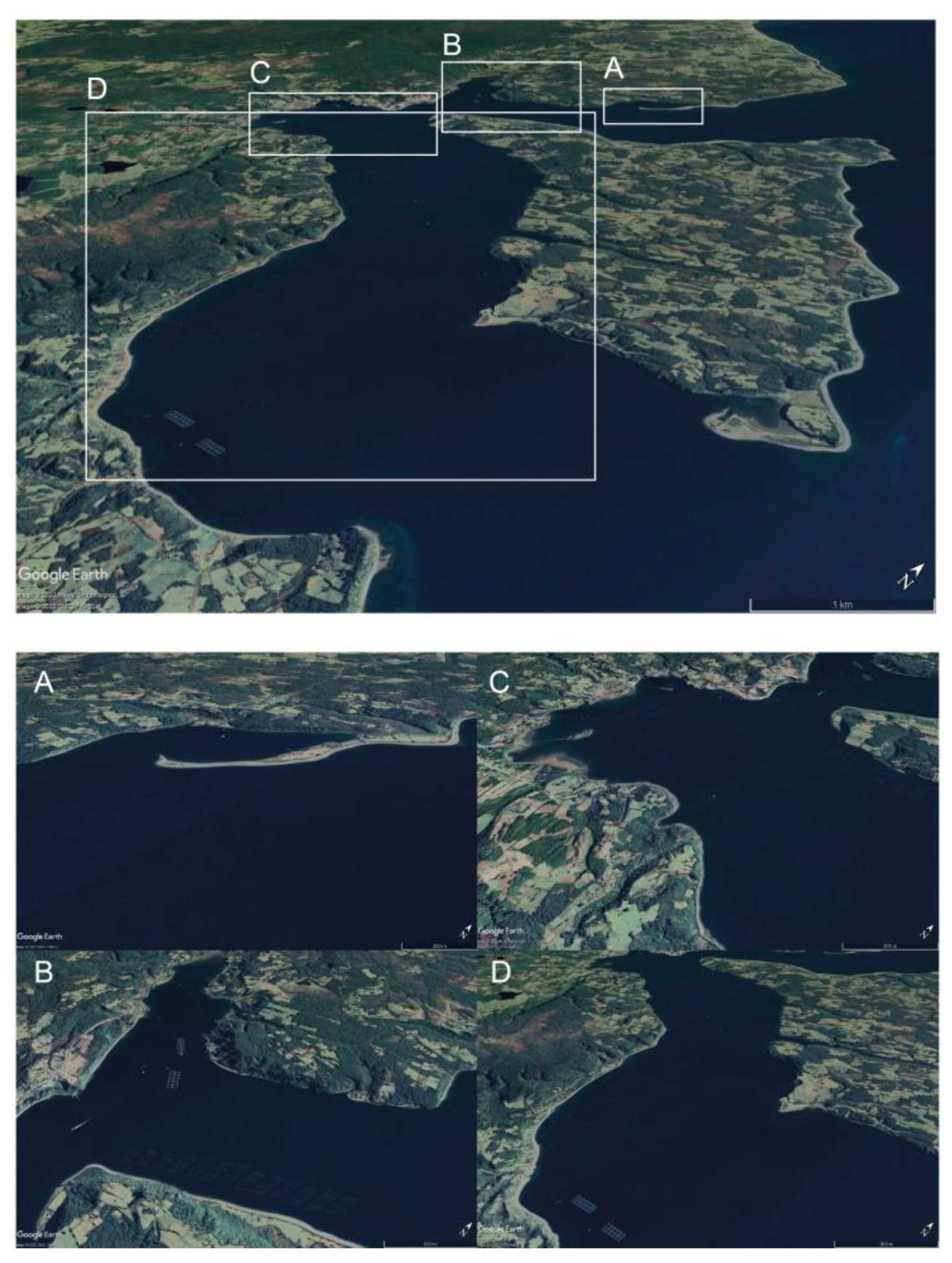 Applsci 13 07750 g004