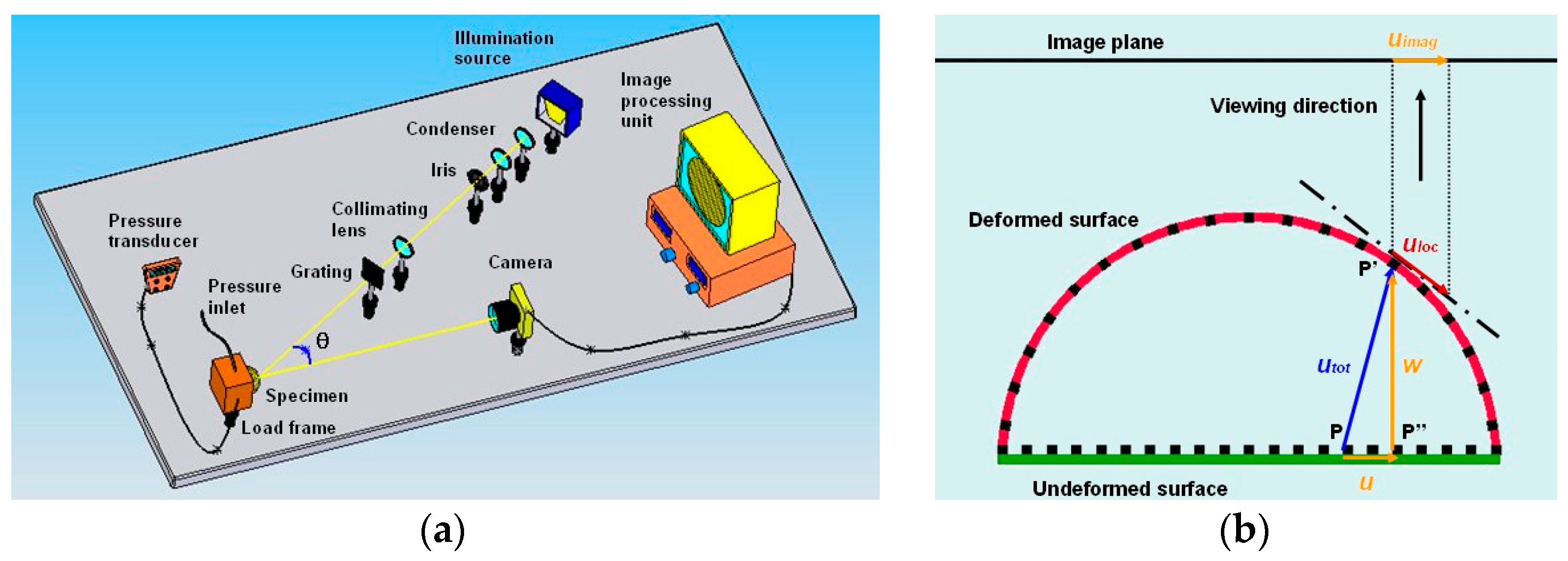 Applsci 13 07758 g001