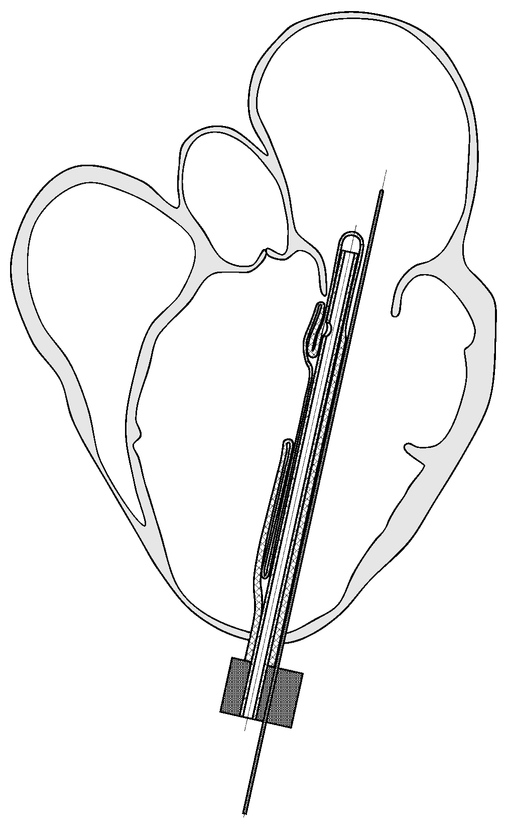 Applsci 13 07785 g002