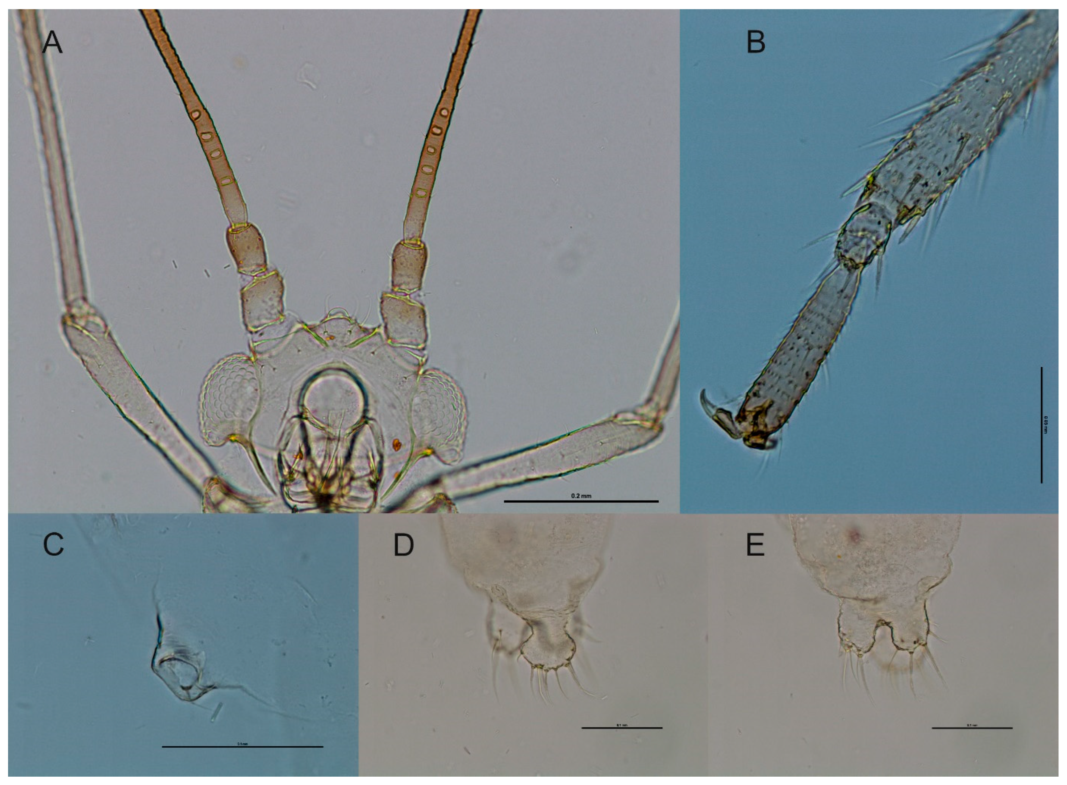 Applsci 13 07798 g004