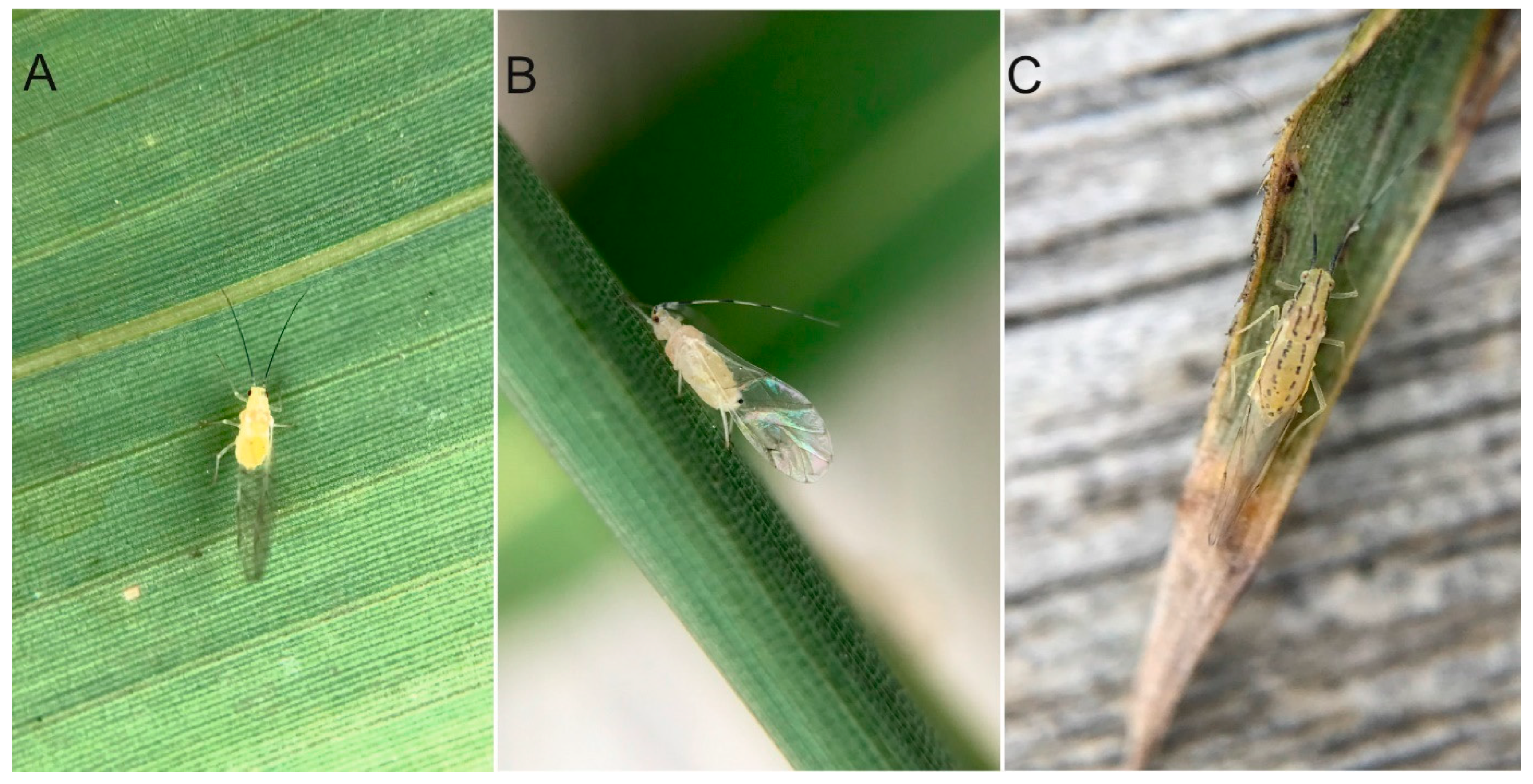 Applsci 13 07798 g005