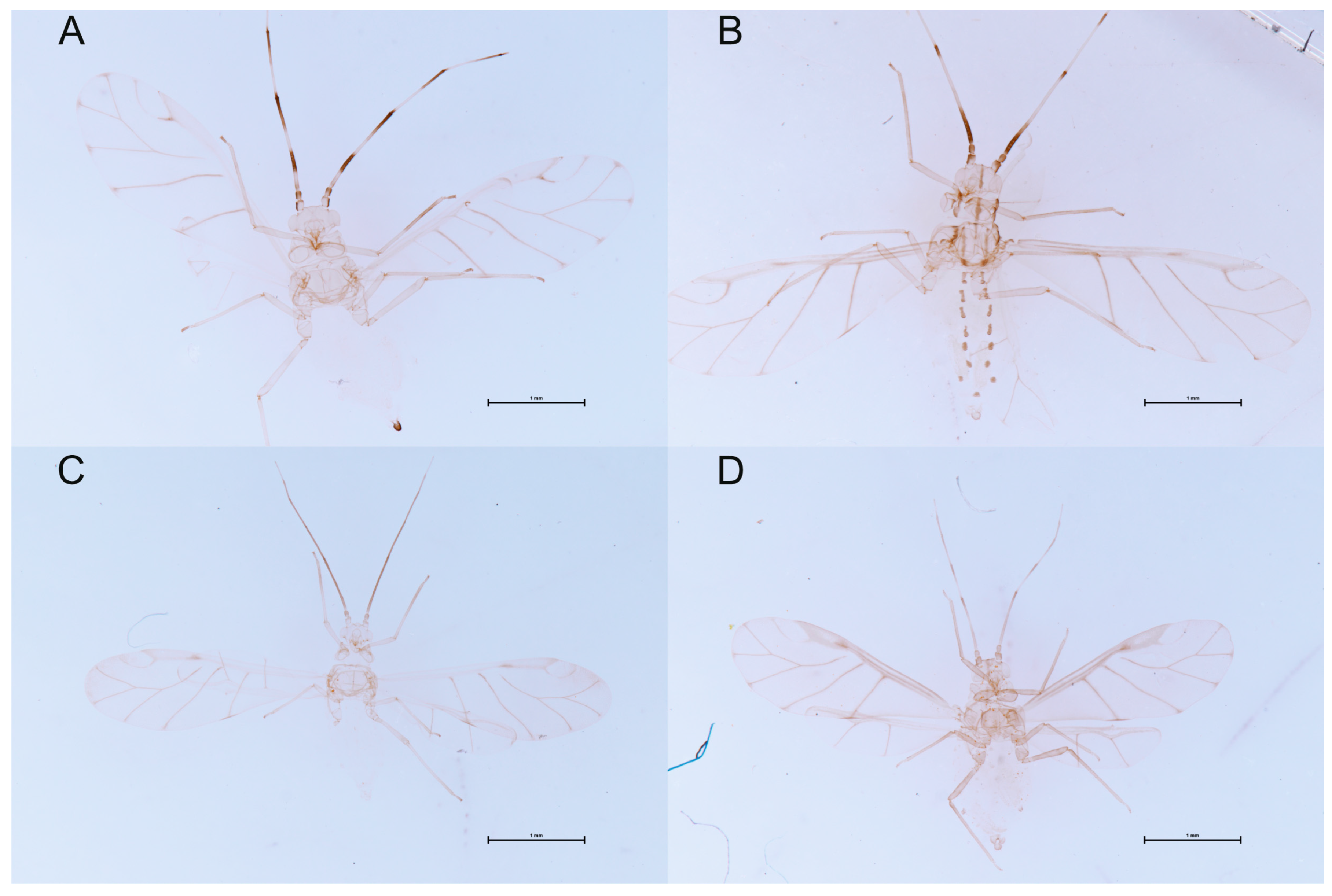 Applsci 13 07798 g006