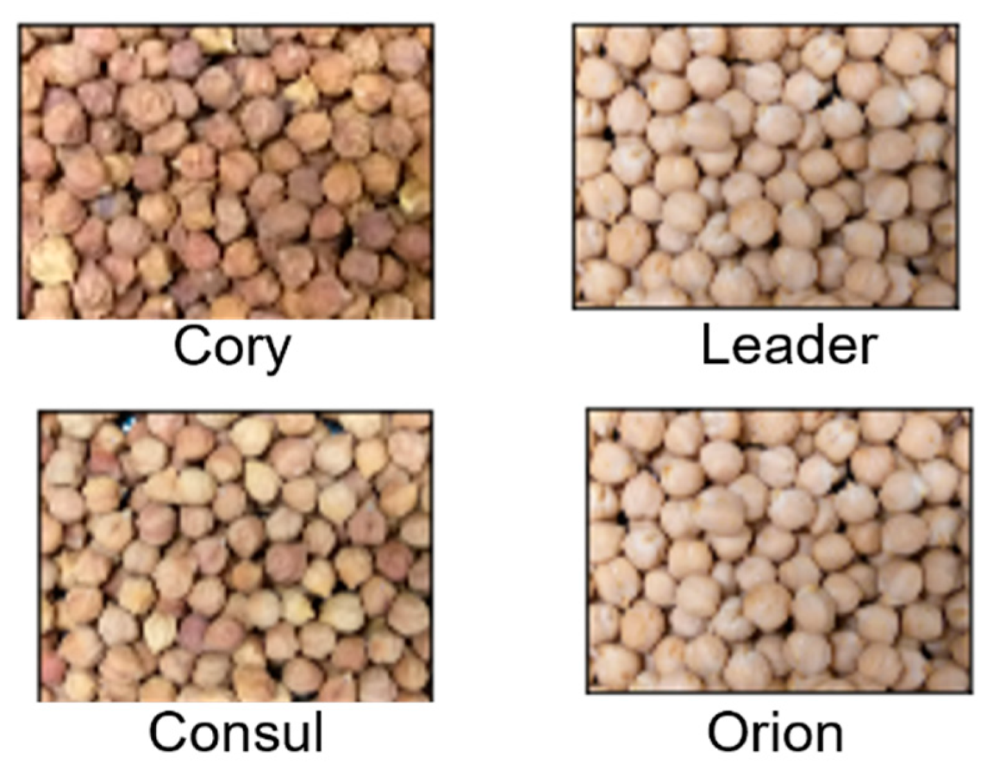 Applied Sciences Free FullText RealTime Deployment of