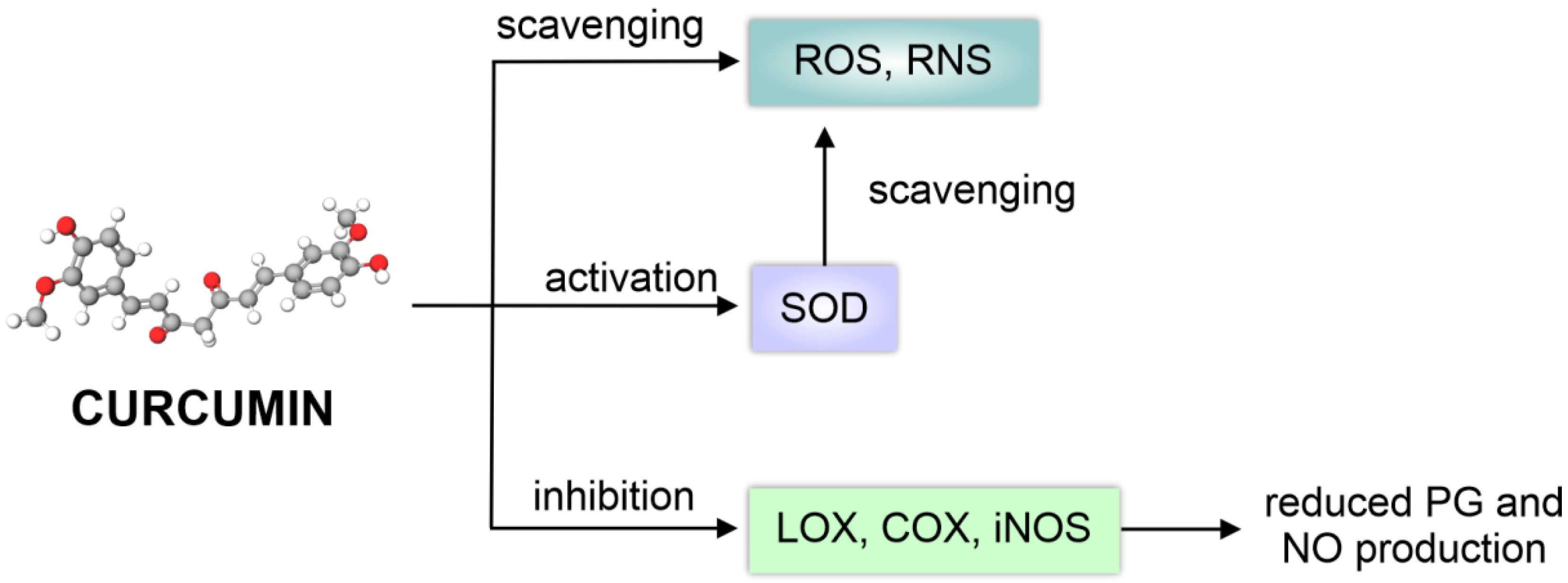 Applsci 13 07809 g003 Applsci 13 07809 g003