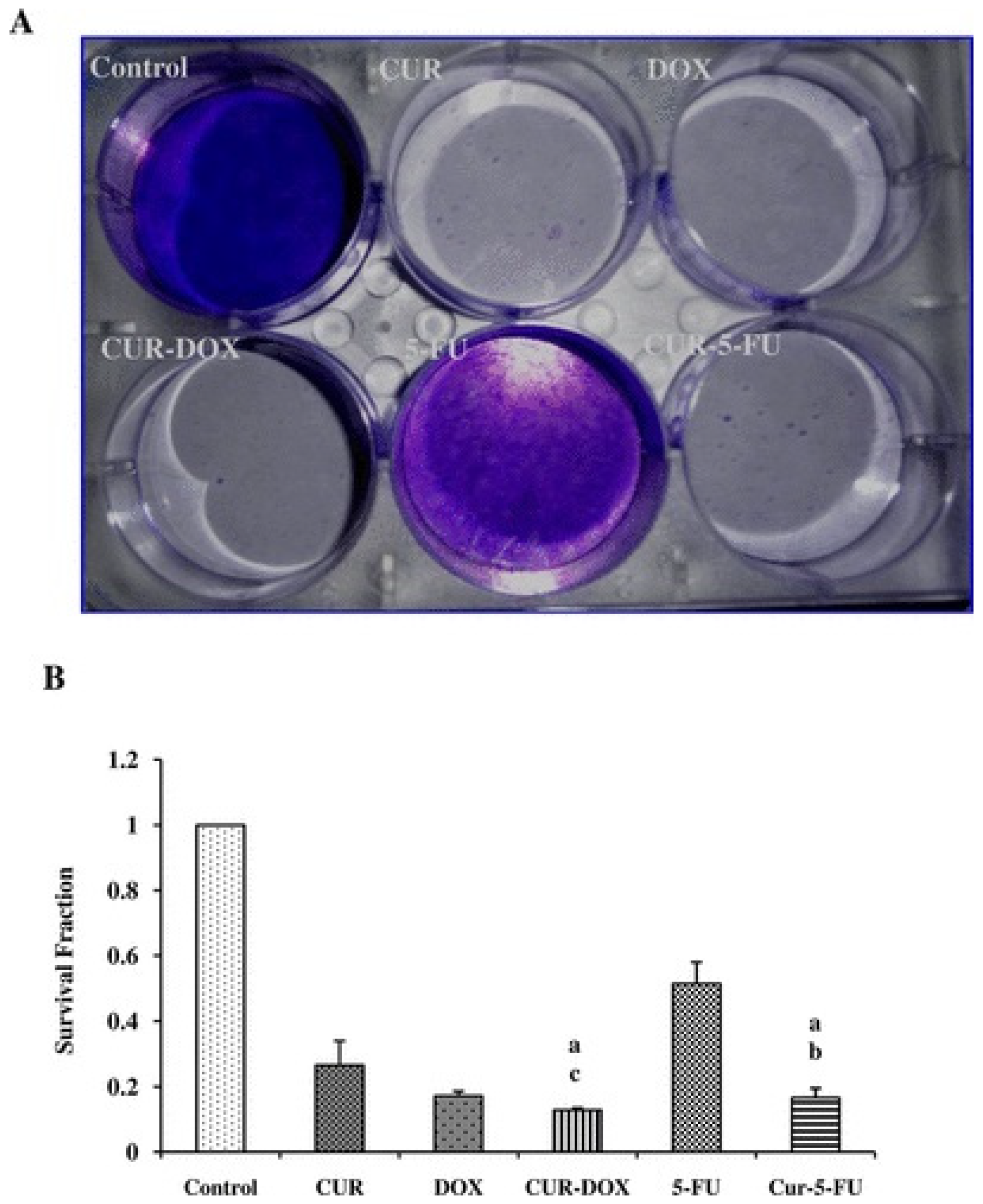 Applsci 13 07809 g007 Applsci 13 07809 g007