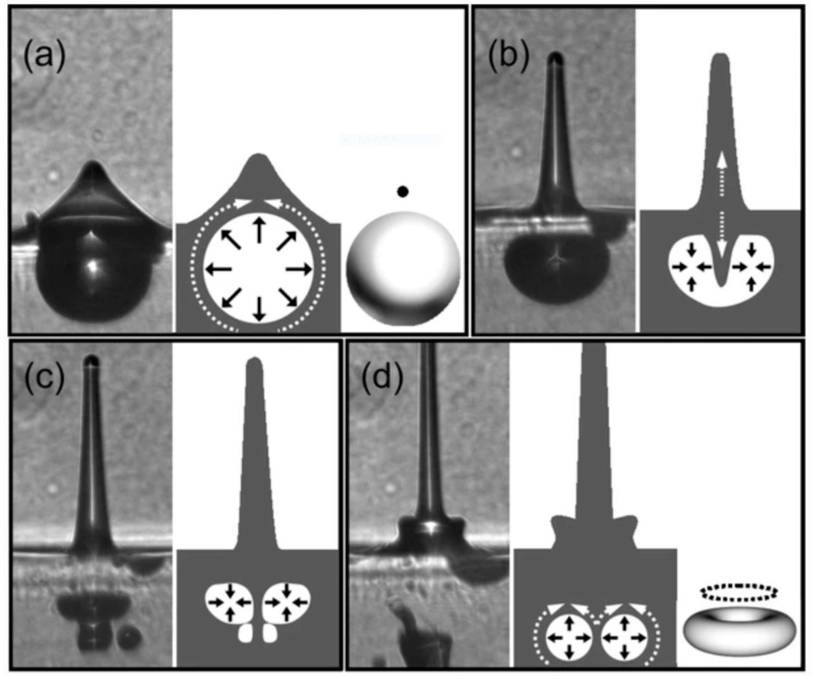 Applsci 13 07822 g004