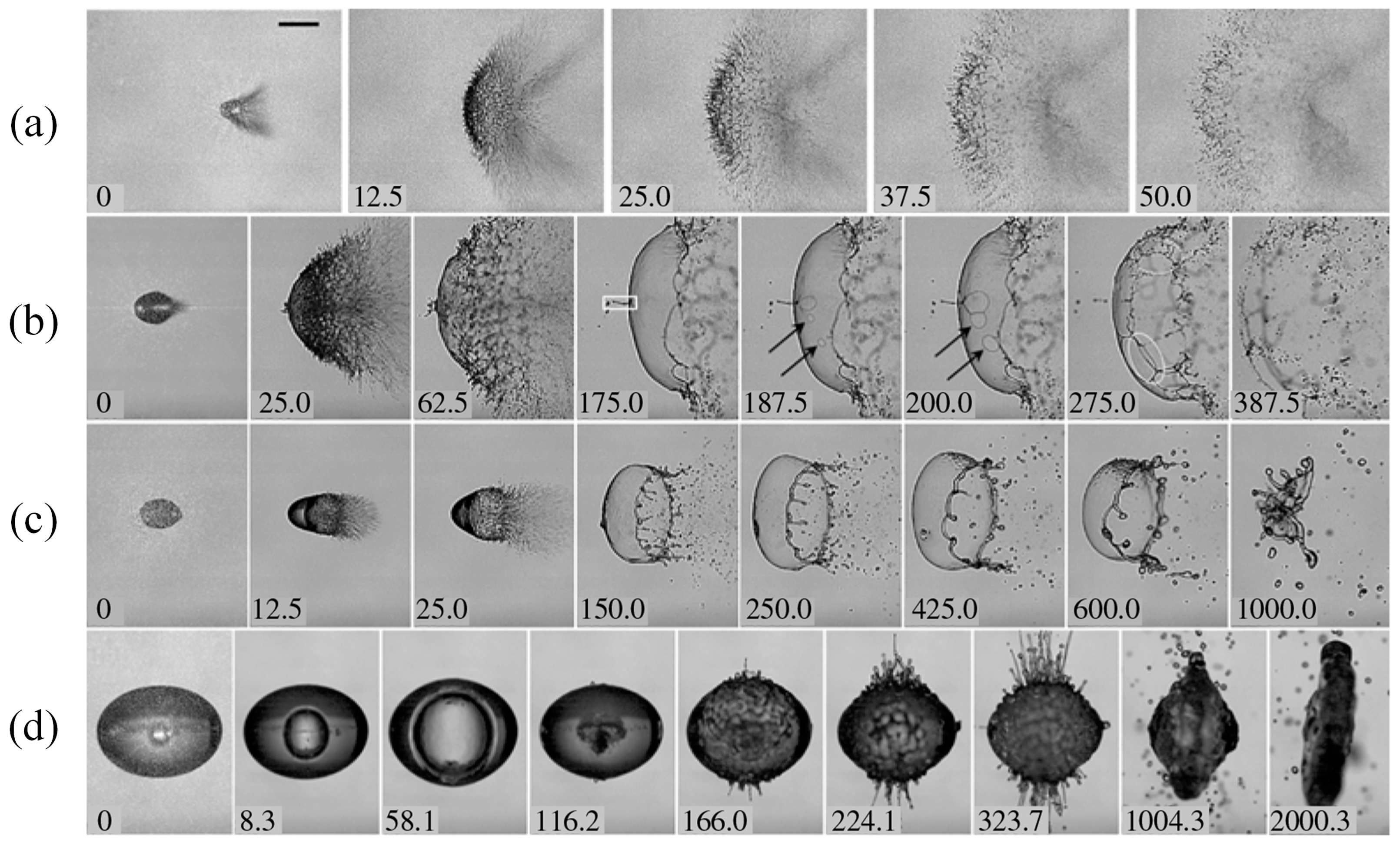 Applsci 13 07822 g012