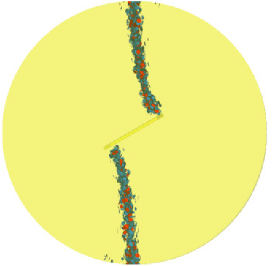 Applsci 13 07834 i004