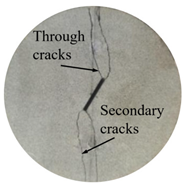 Applsci 13 07834 i007