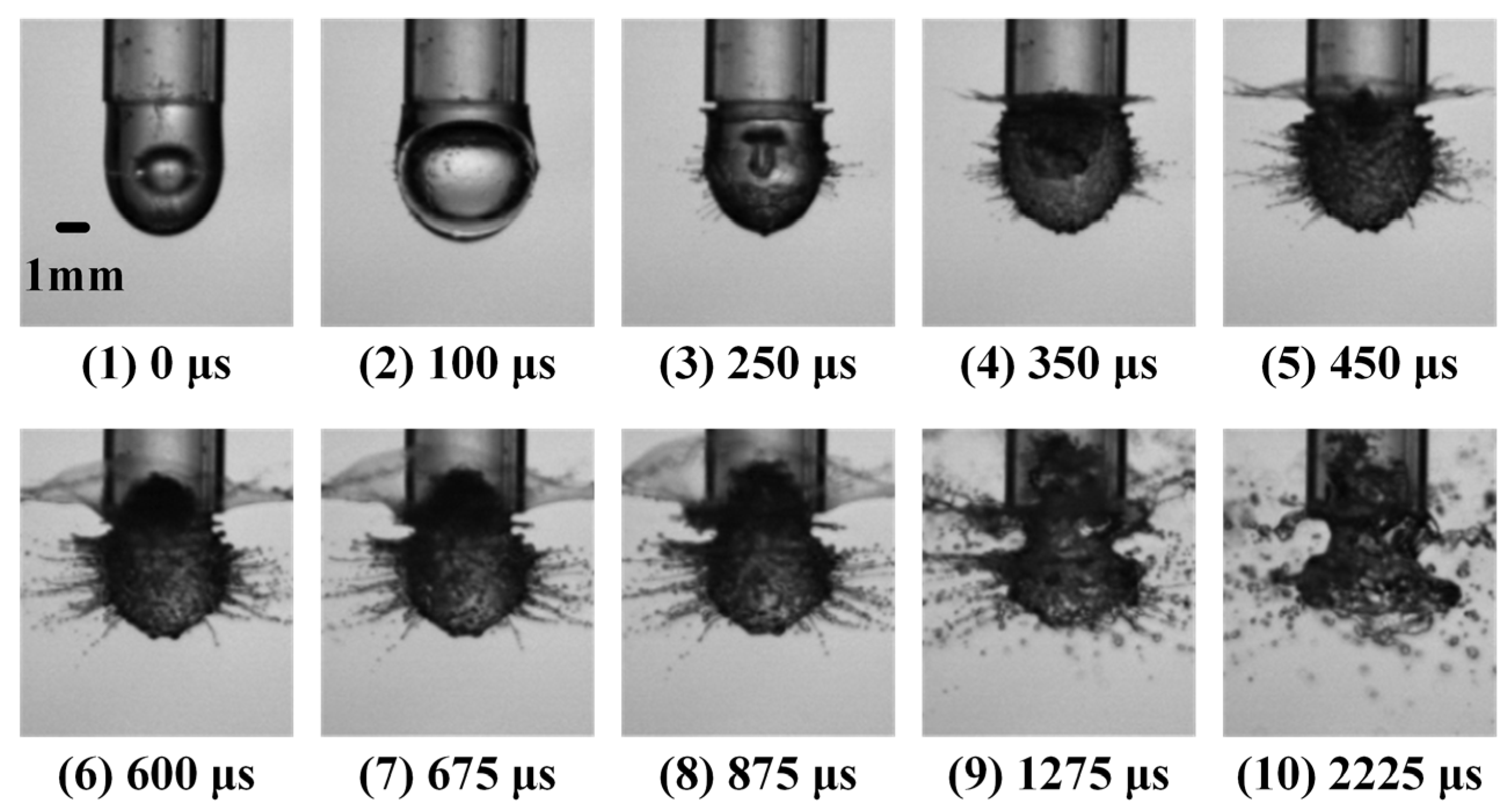 Applsci 13 07862 g005