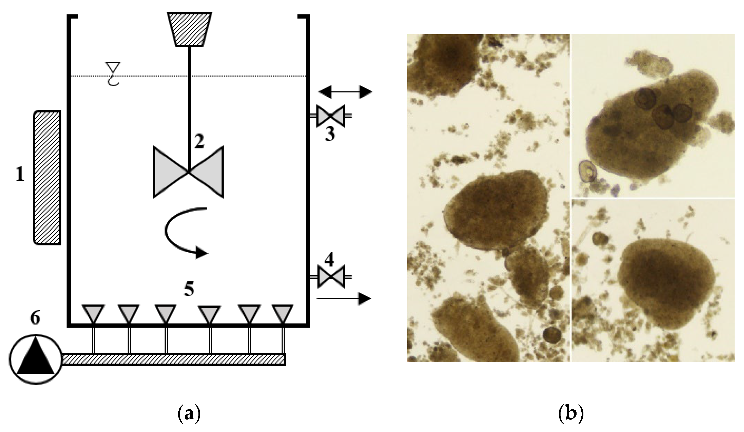 Applsci 13 07864 g002 Applsci 13 07864 g002