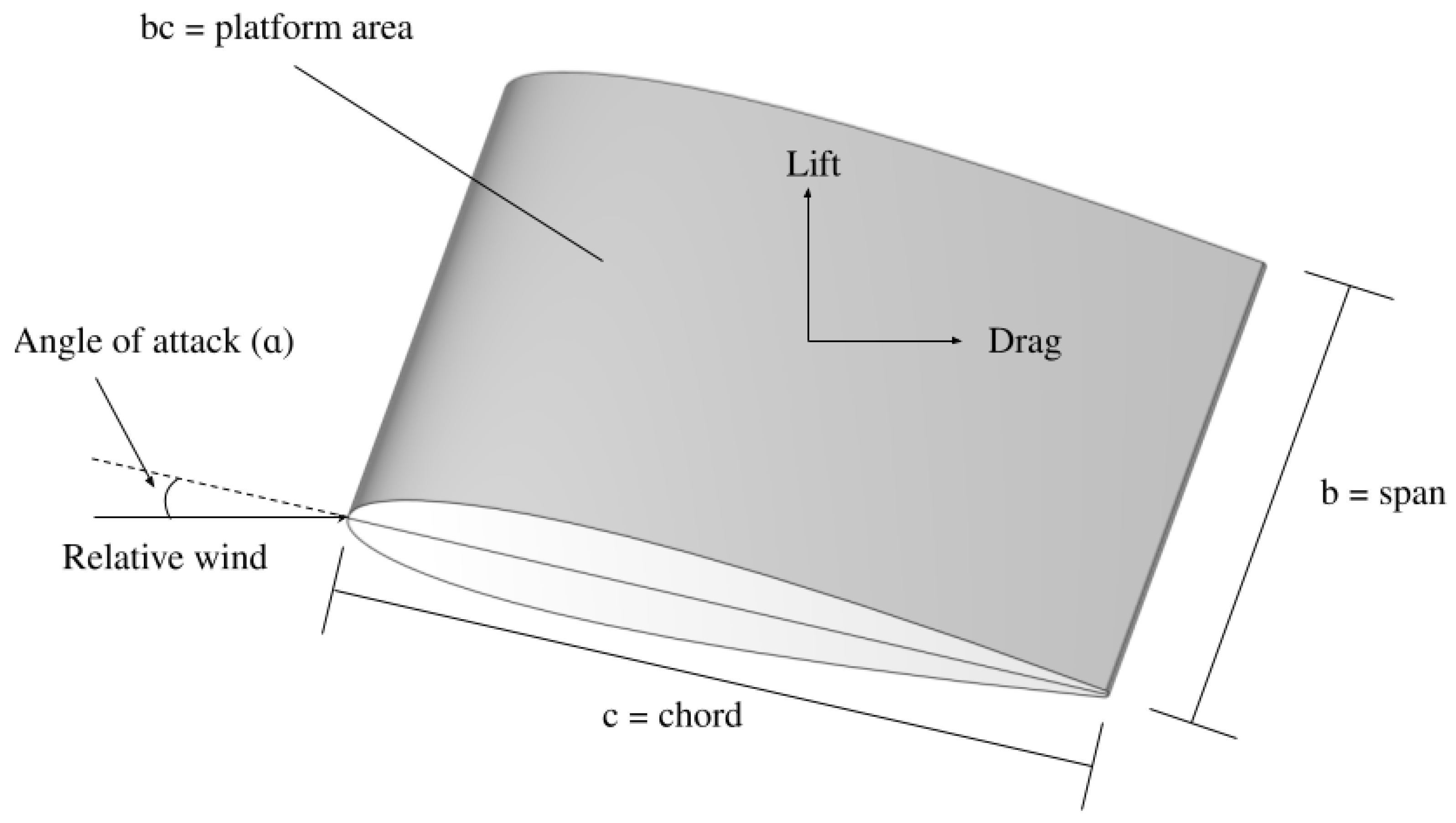 Cambered Airfoil Explained: The Effects of Shape on Lift, System Analysis  Blog