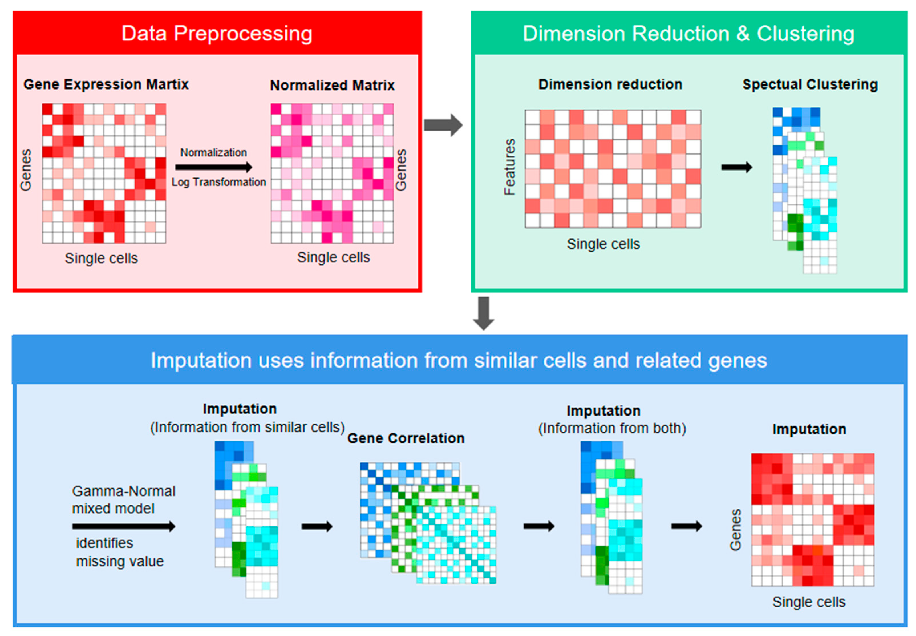 scCGImpute: An Imputation Method for Single-Cell RNA Sequencing 