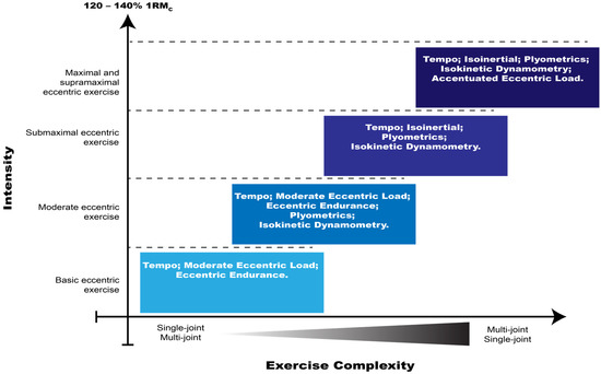 Eccentric Resistance Training: A Methodological Proposal of Eccentric ...