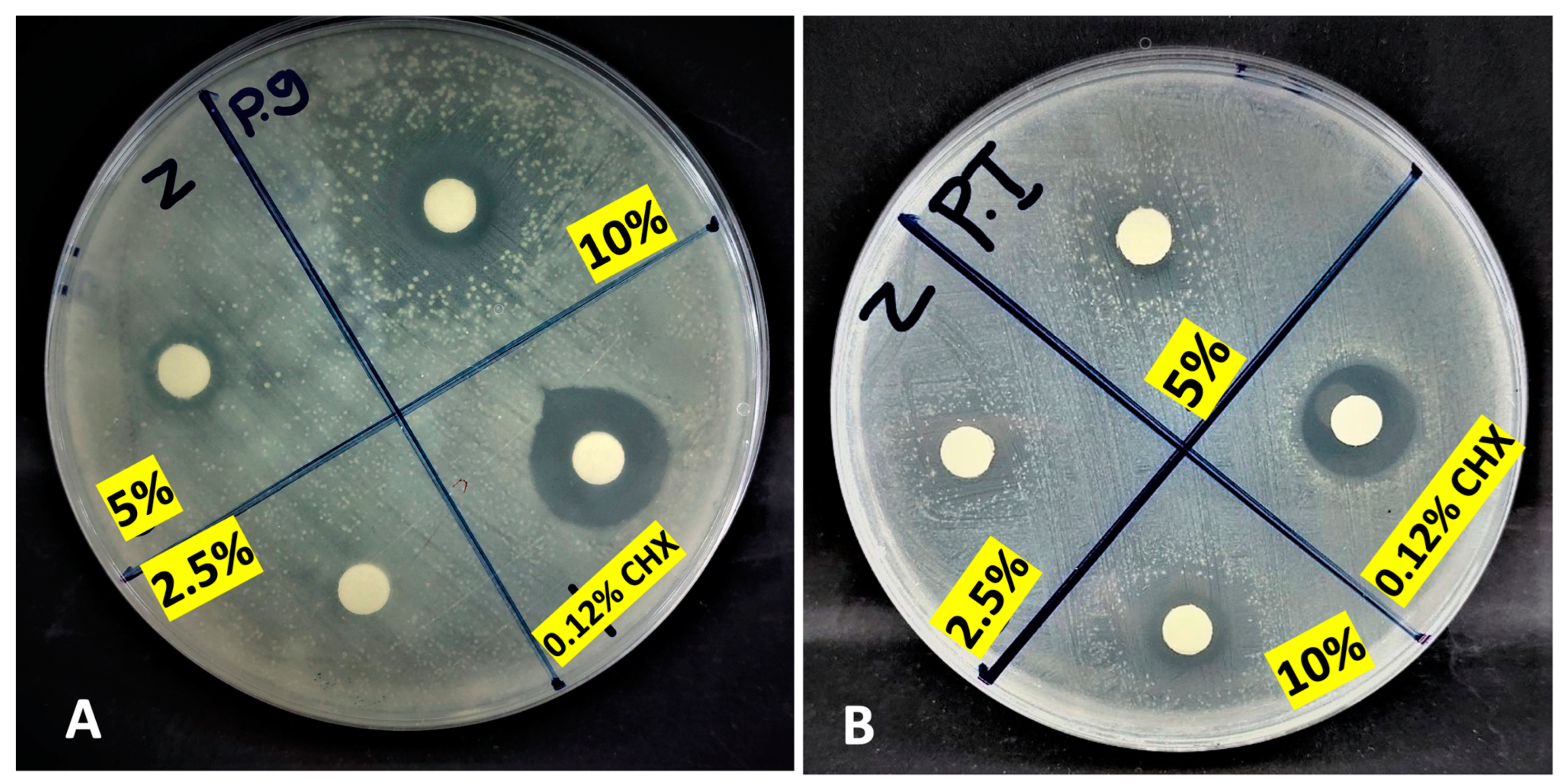 Applsci 13 07996 g002