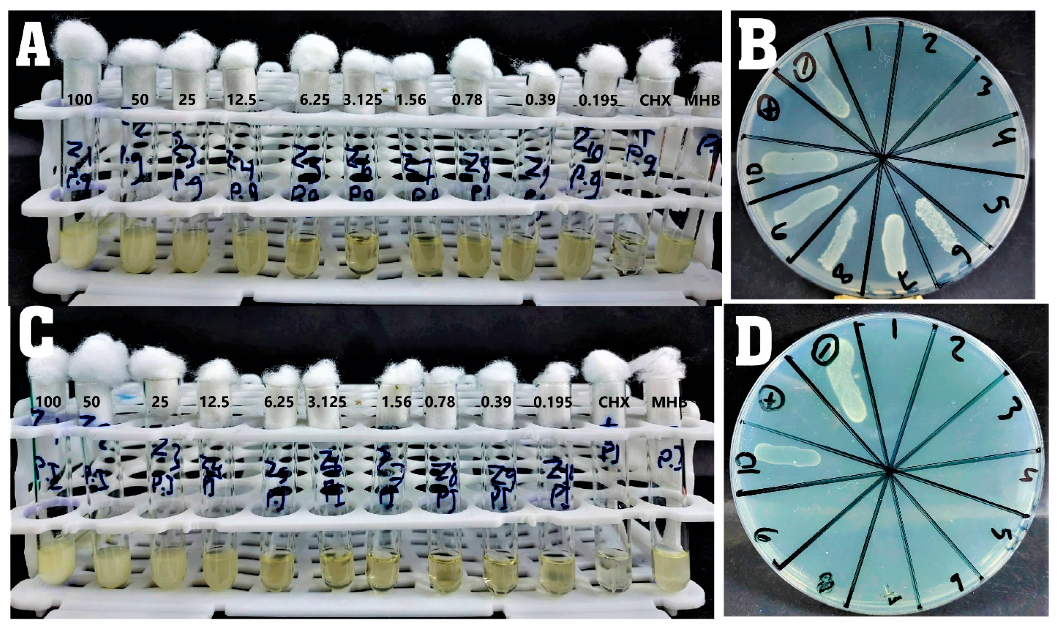 Applsci 13 07996 g004