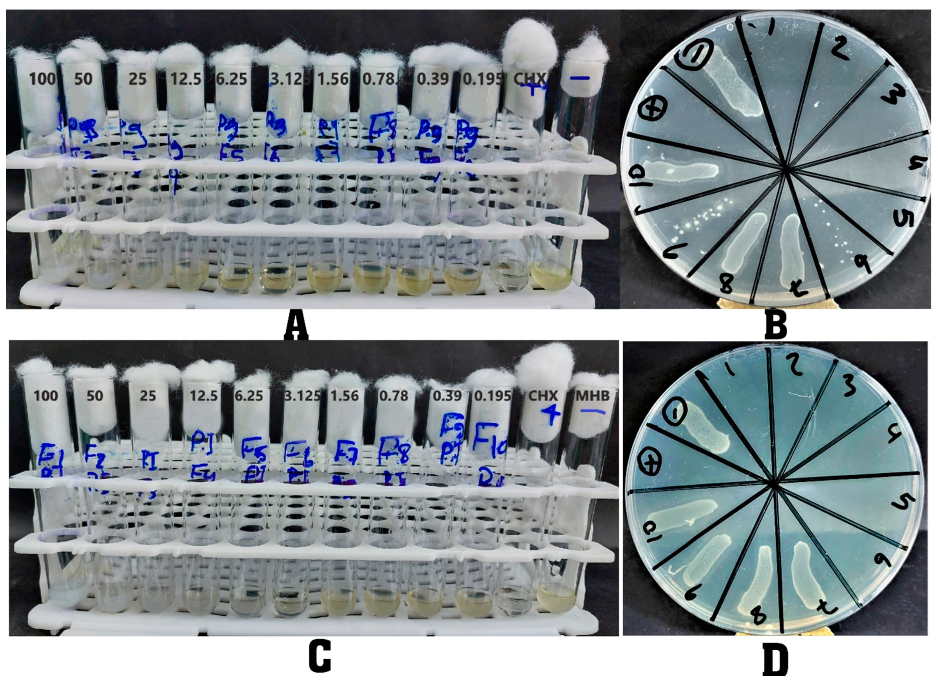 Applsci 13 07996 g005