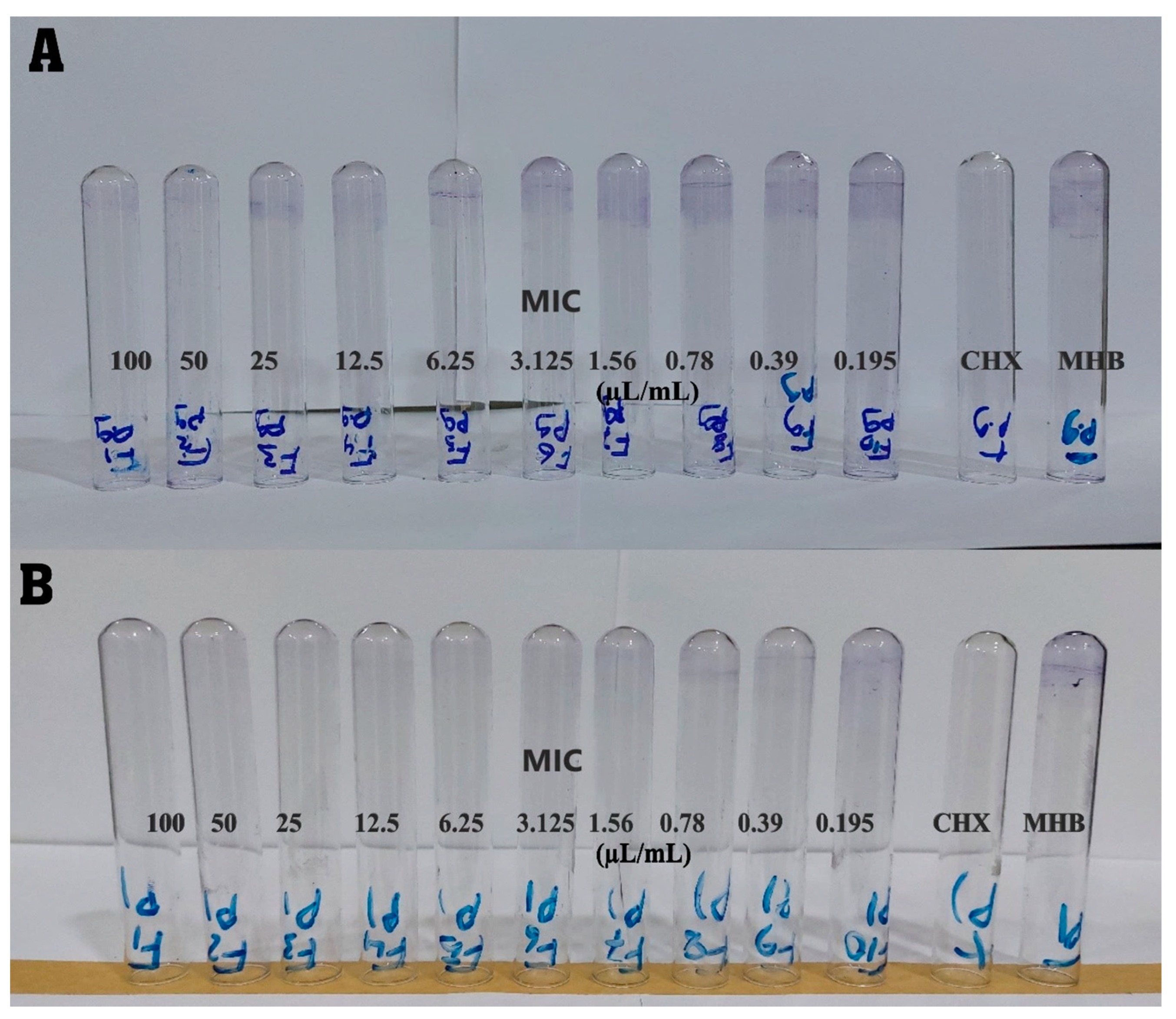 Applsci 13 07996 g007