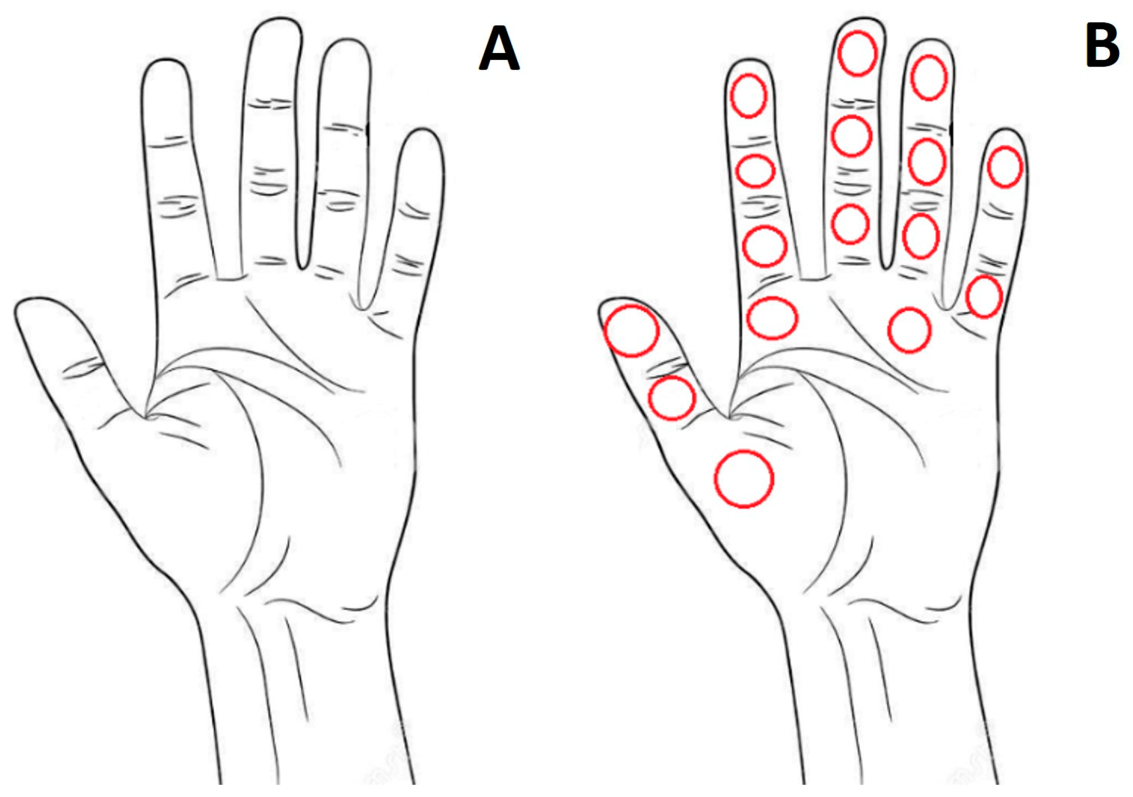 Applsci 13 08002 g005