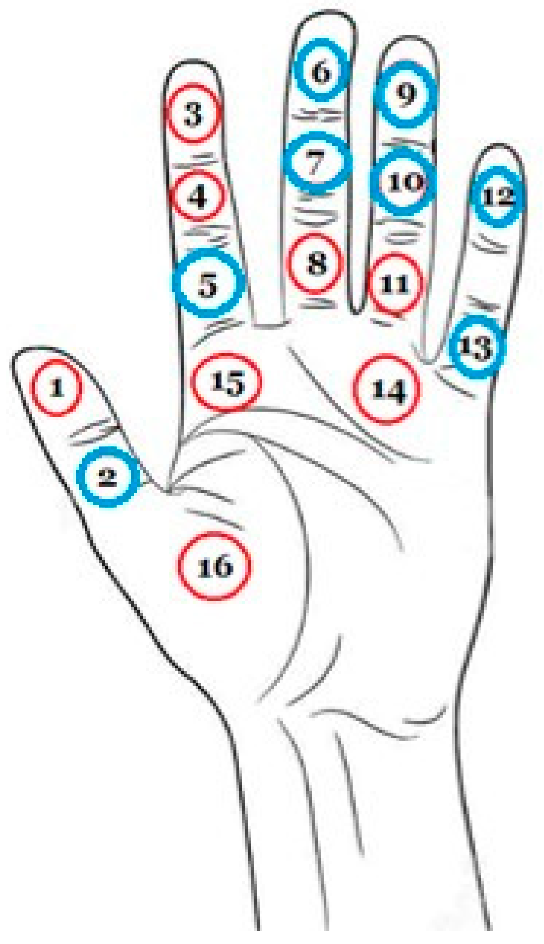 Applsci 13 08002 g011