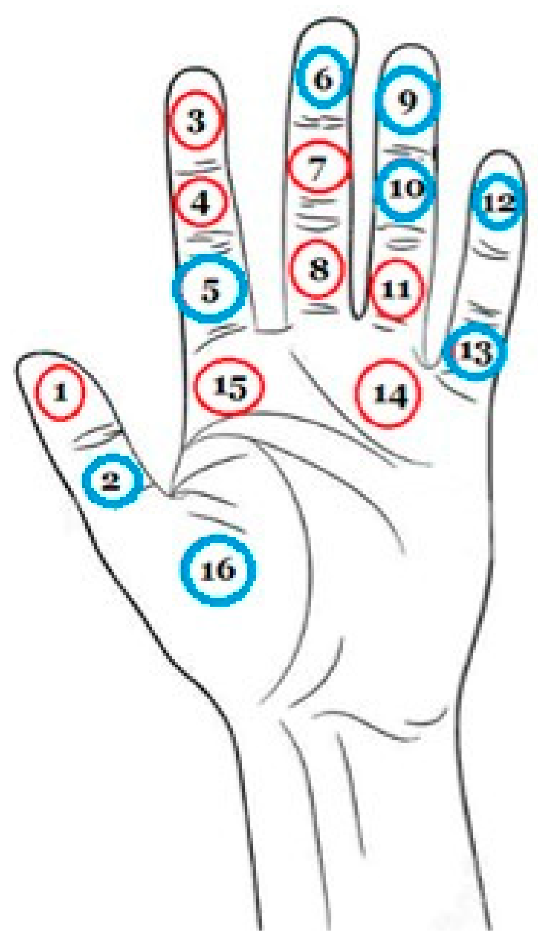 Applsci 13 08002 g013