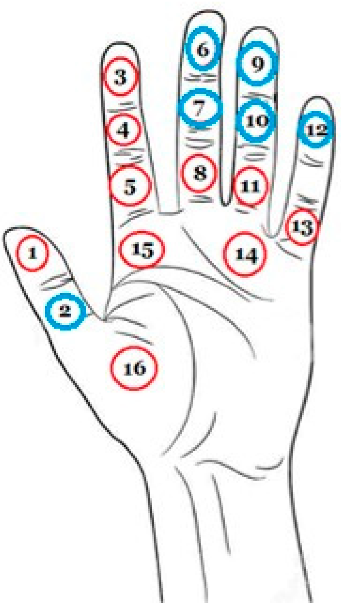 Applsci 13 08002 g015