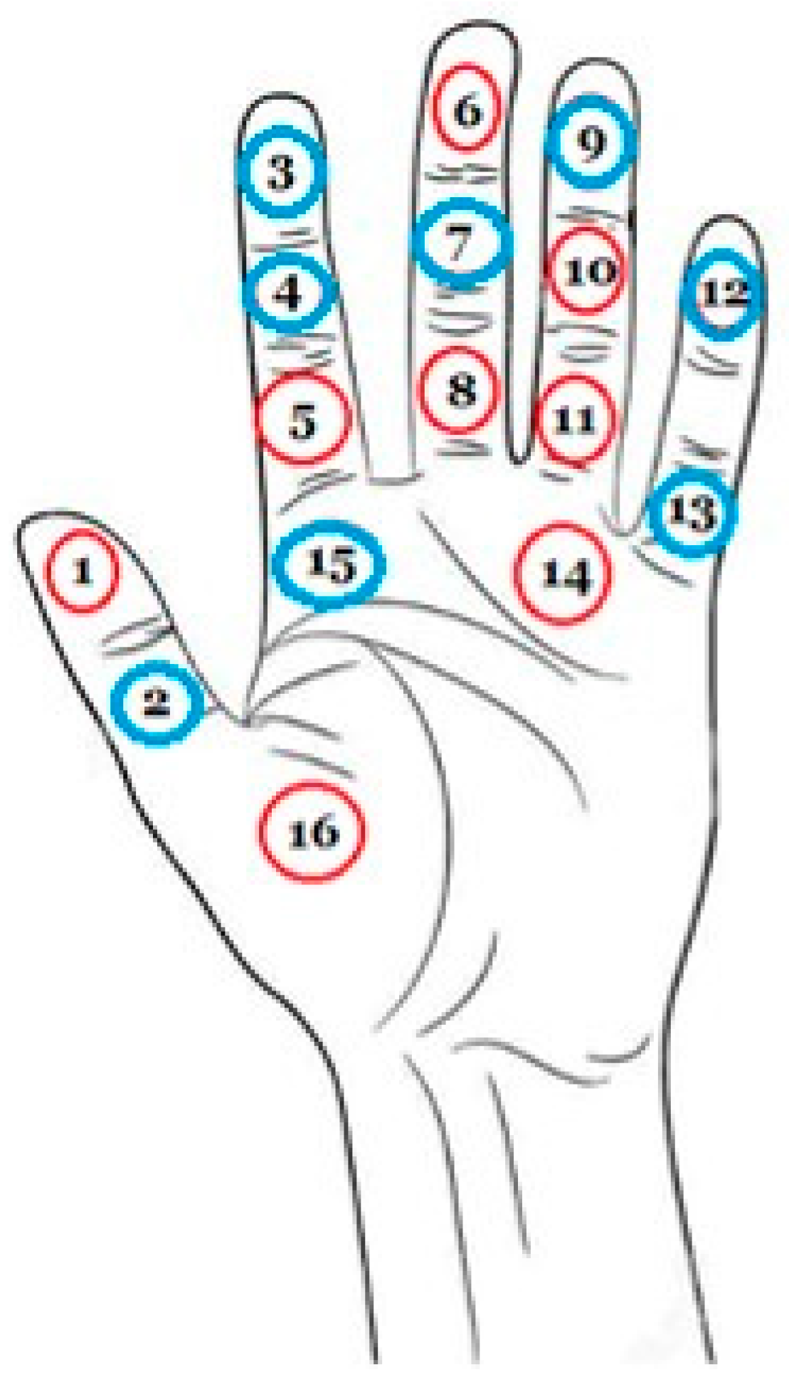 Applsci 13 08002 g017