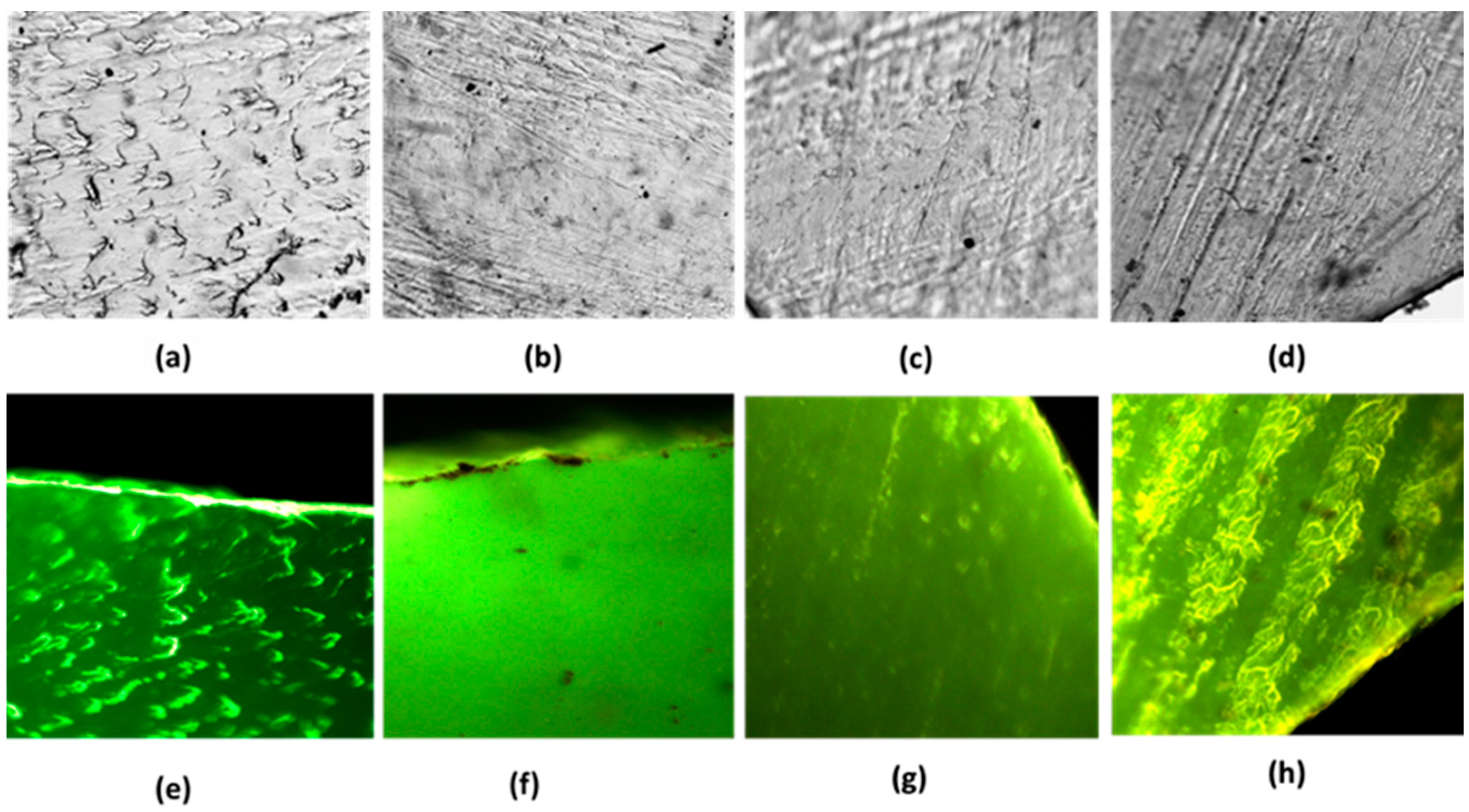Applsci 13 08023 g003 Applsci 13 08023 g003