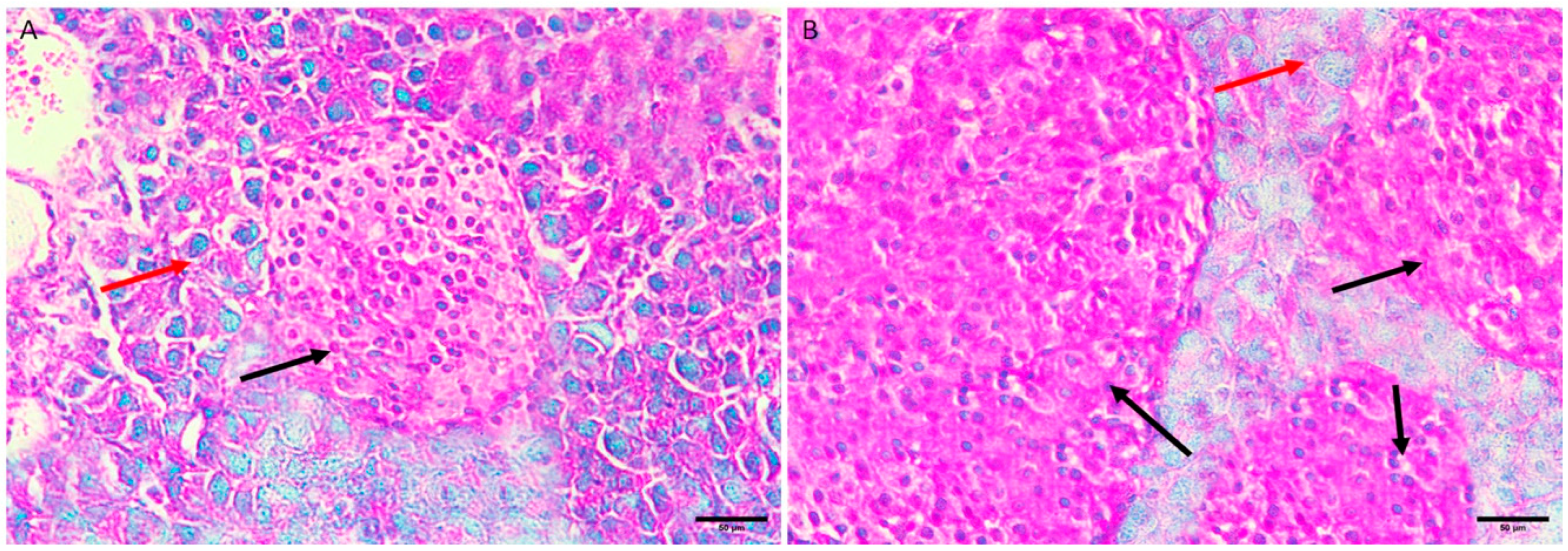 Applsci 13 08045 g001 Applsci 13 08045 g001