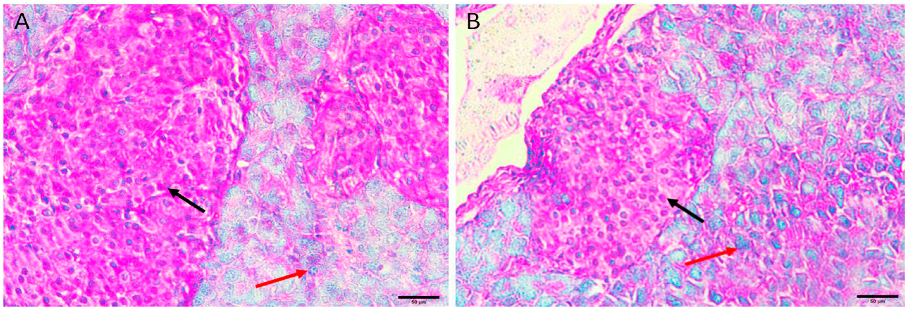 Applsci 13 08045 g002 Applsci 13 08045 g002
