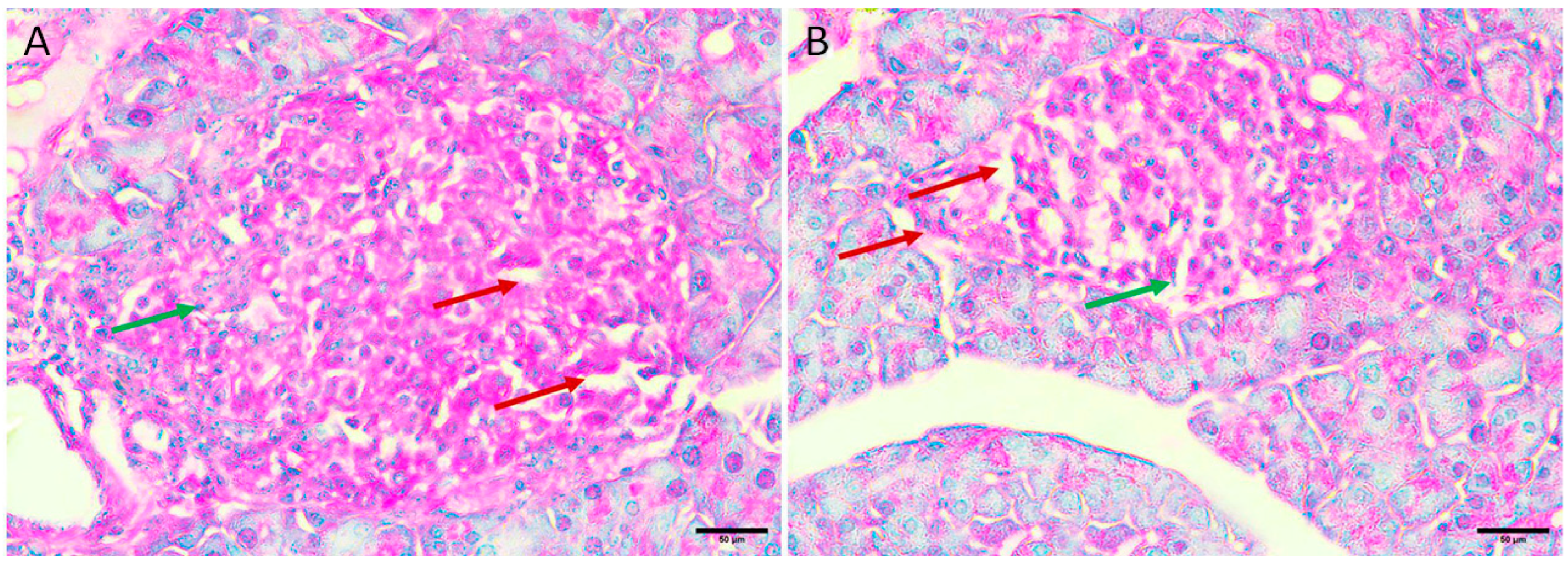 Applsci 13 08045 g003 Applsci 13 08045 g003