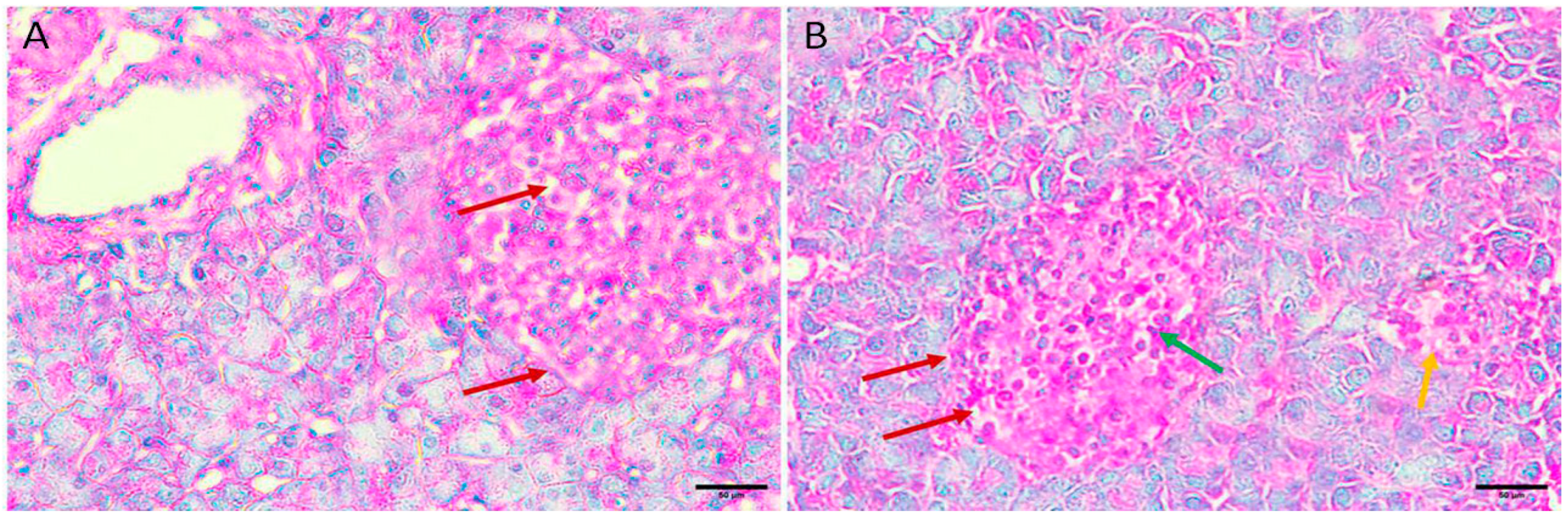 Applsci 13 08045 g005 Applsci 13 08045 g005