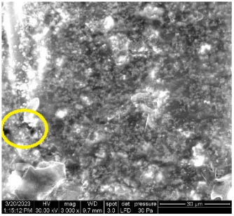 Applsci 13 08052 i016 Applsci 13 08052 i016