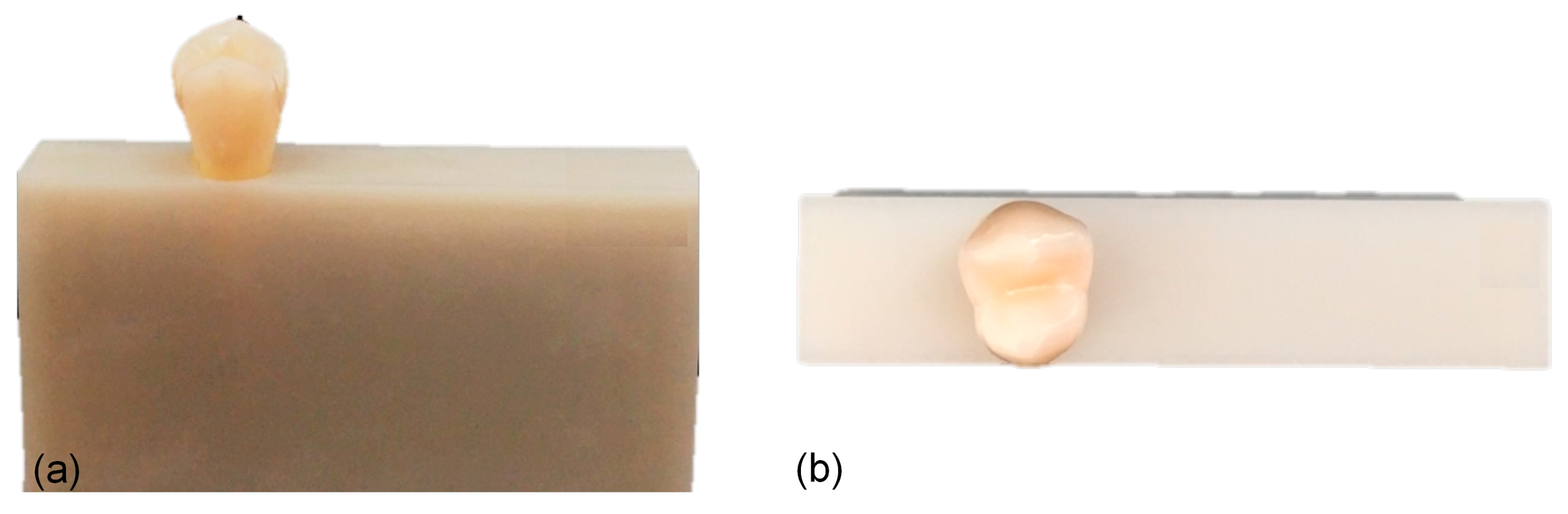 Applsci 13 08072 g003 Applsci 13 08072 g003