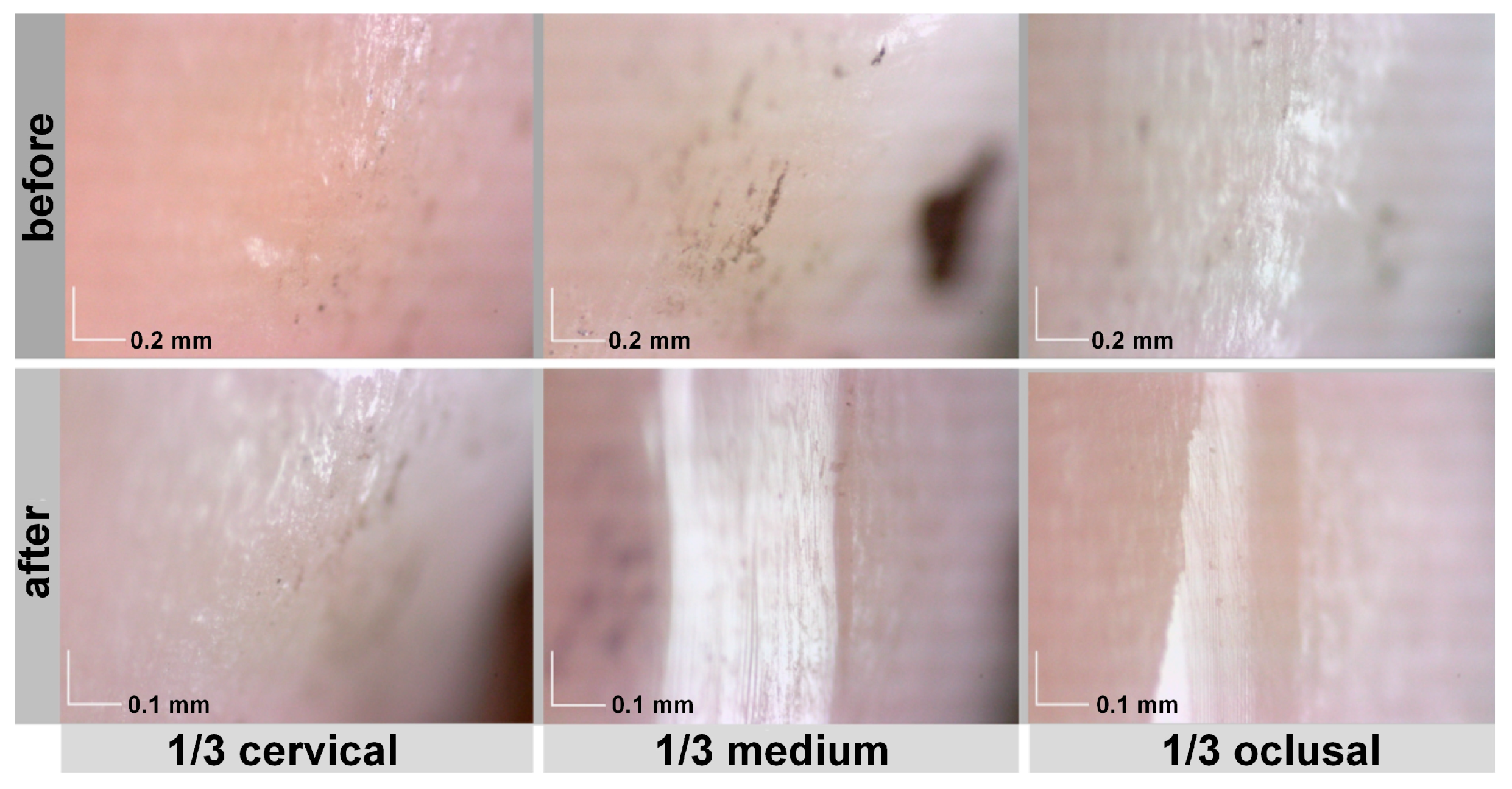 Applsci 13 08072 g018 Applsci 13 08072 g018